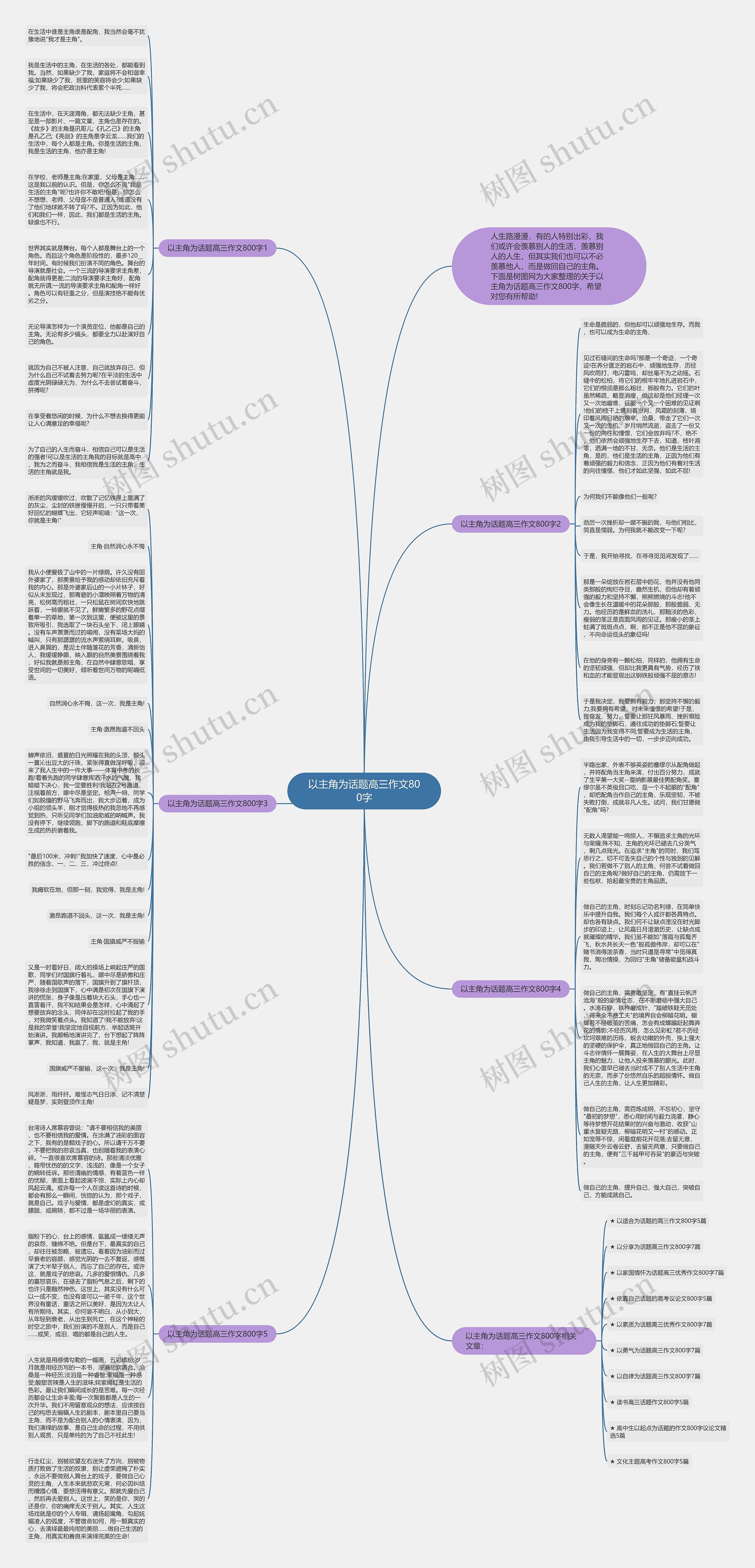 以主角为话题高三作文800字思维导图
