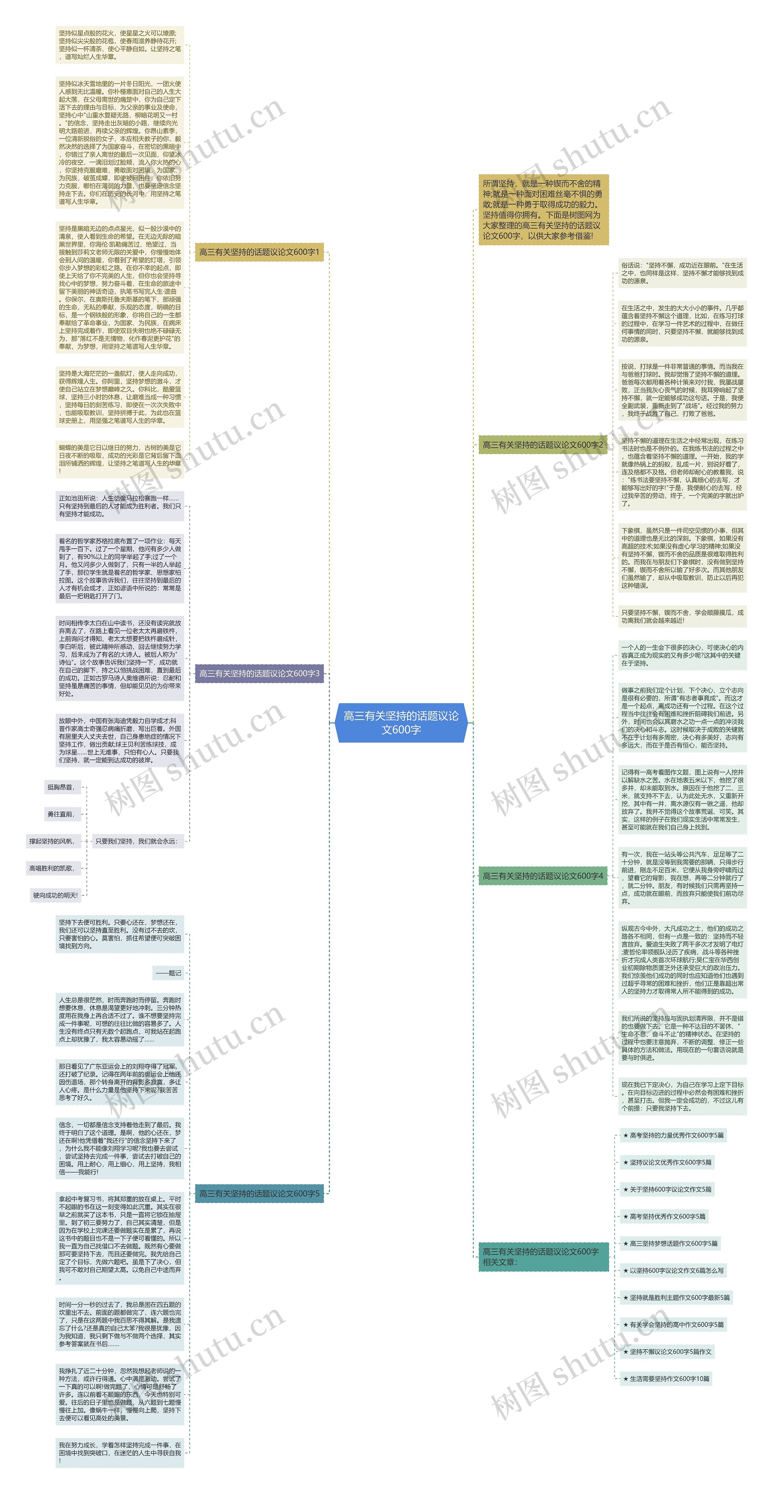 高三有关坚持的话题议论文600字思维导图