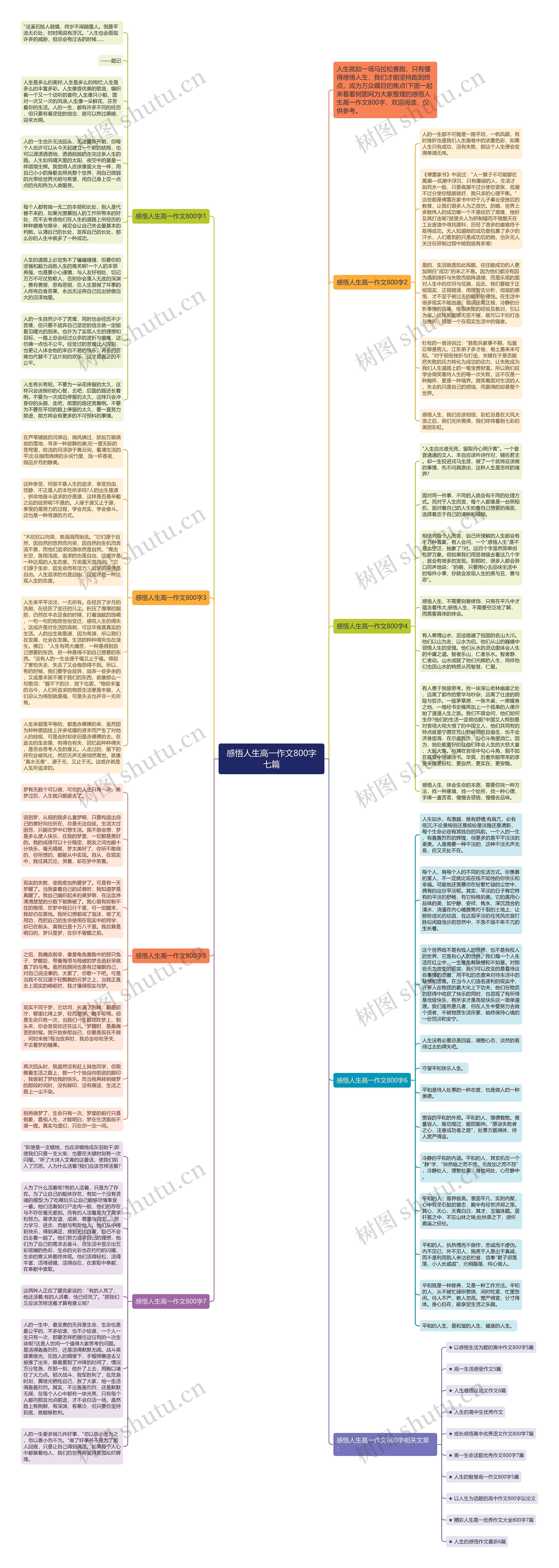 感悟人生高一作文800字七篇思维导图
