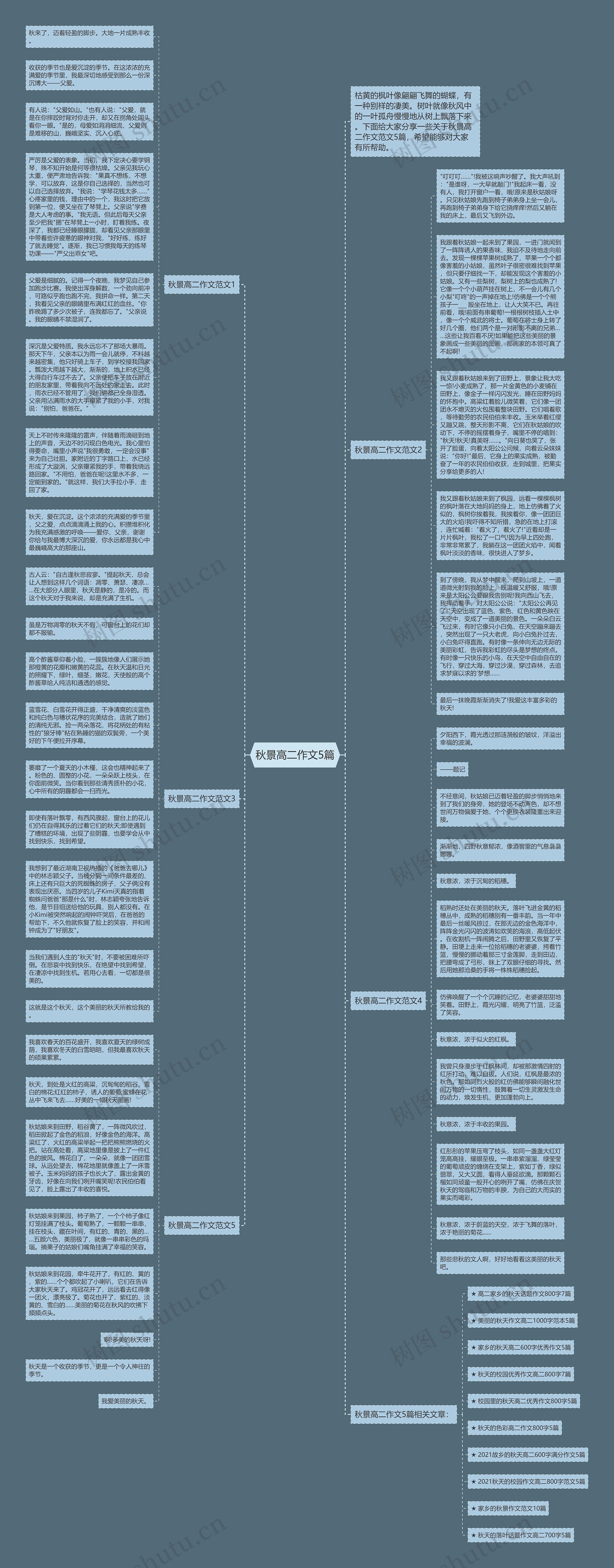 秋景高二作文5篇思维导图
