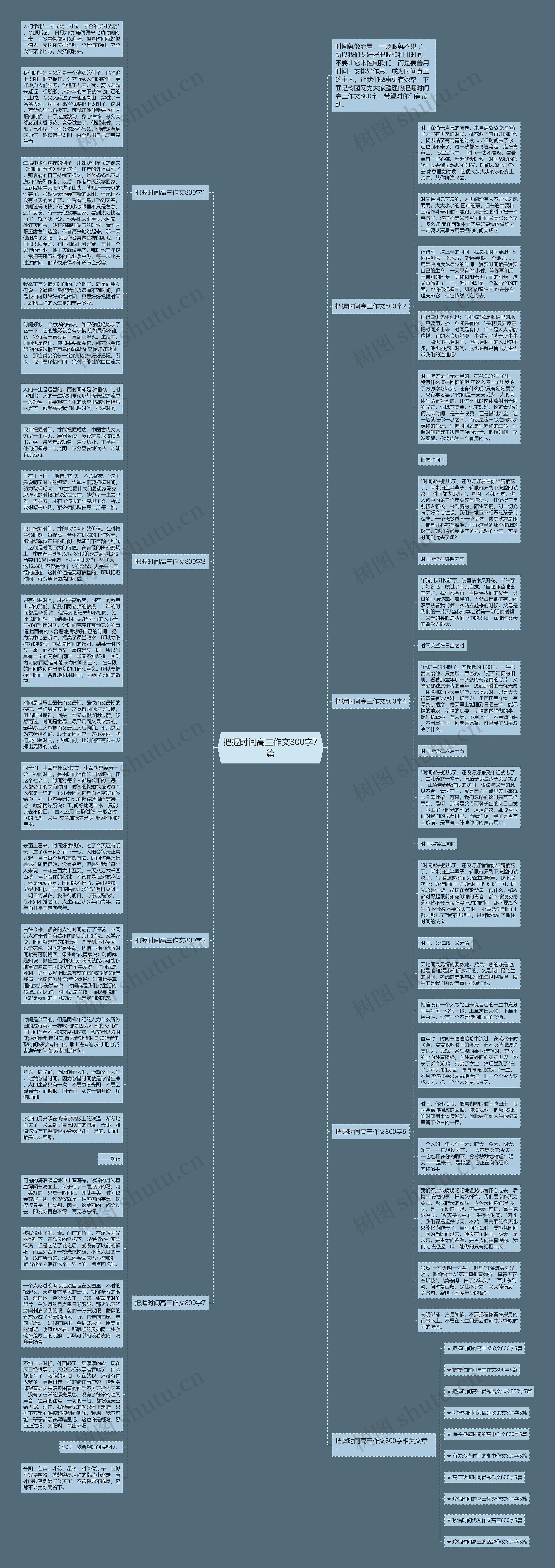 把握时间高三作文800字7篇思维导图