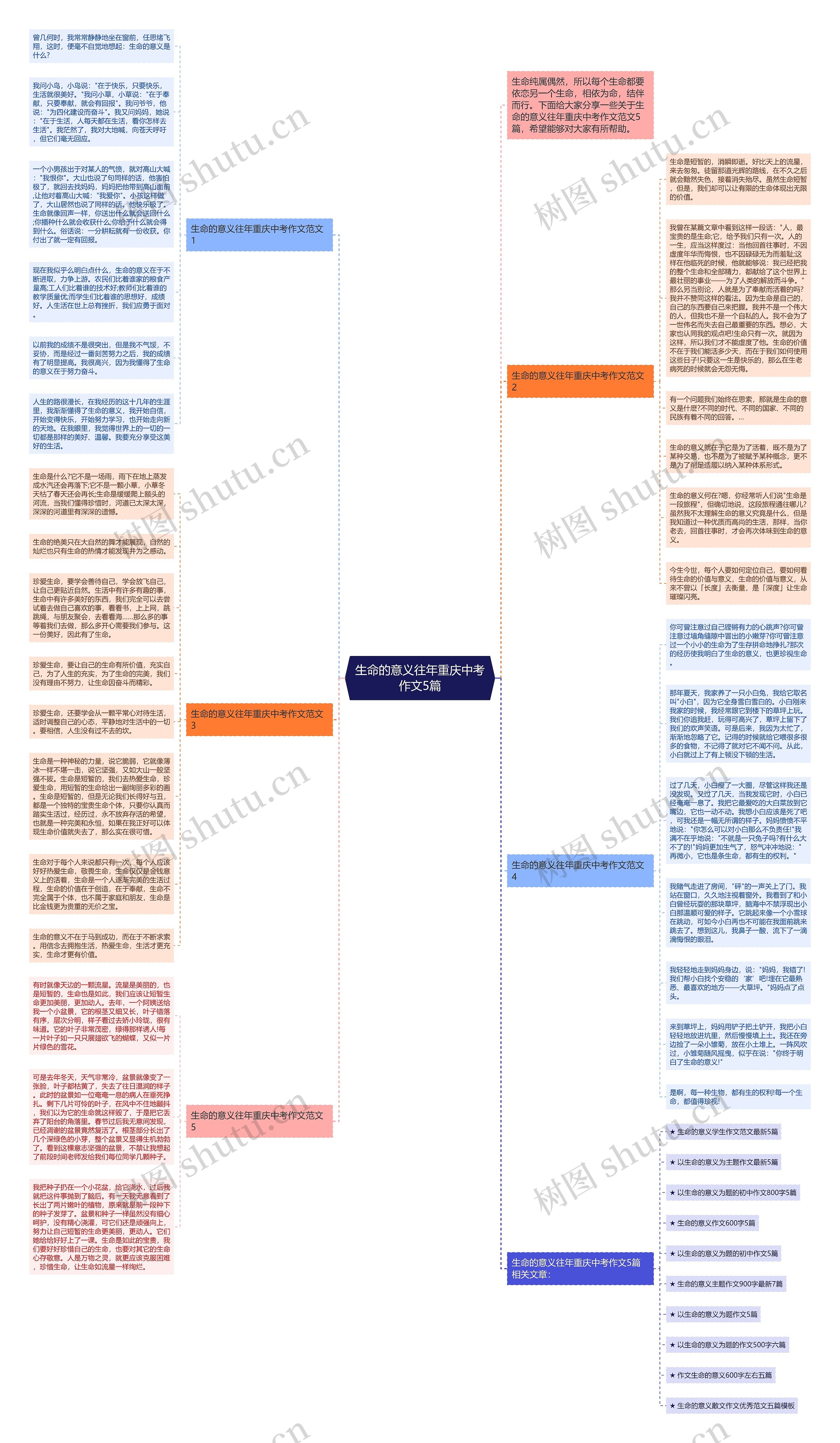 生命的意义往年重庆中考作文5篇思维导图