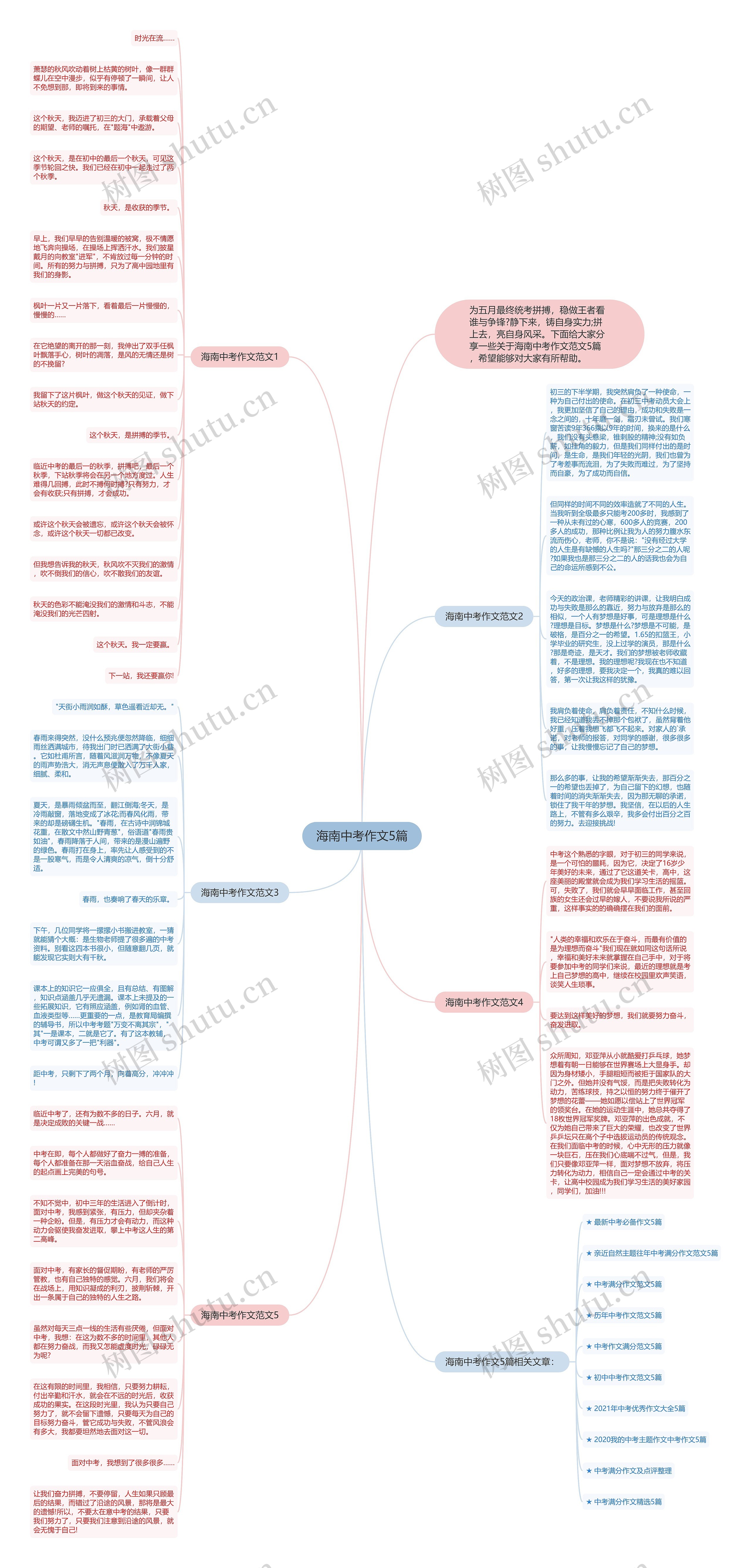 海南中考作文5篇思维导图