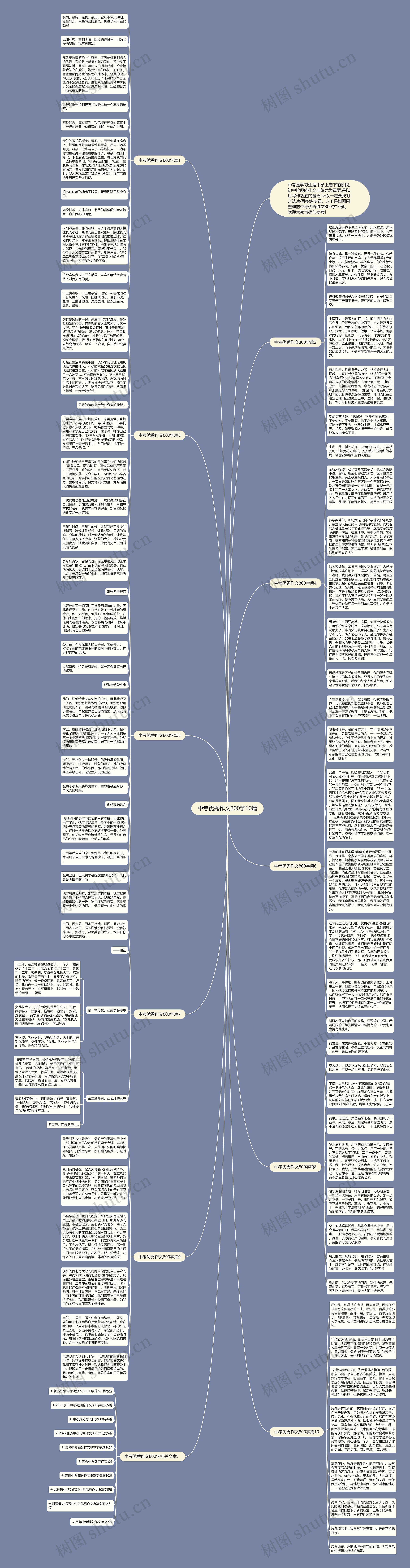 中考优秀作文800字10篇思维导图
