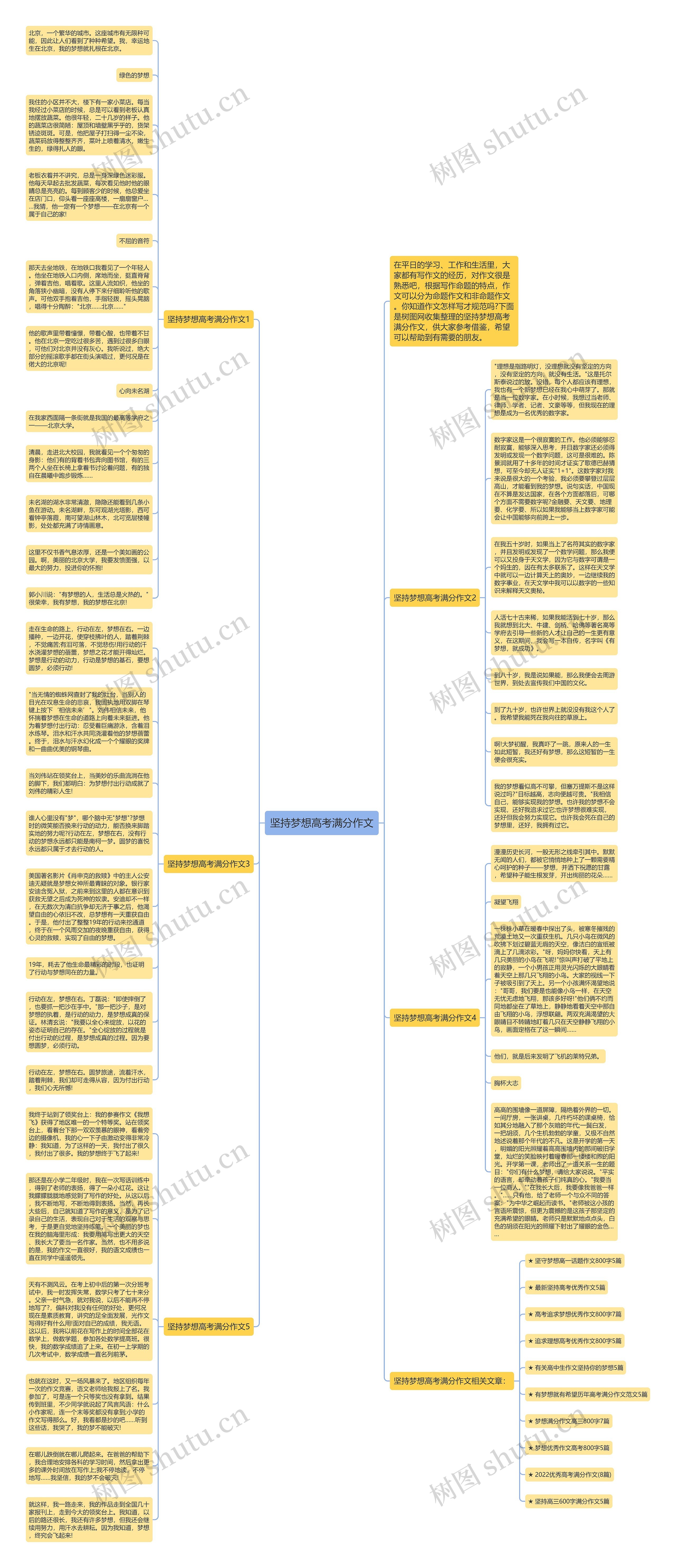 坚持梦想高考满分作文思维导图