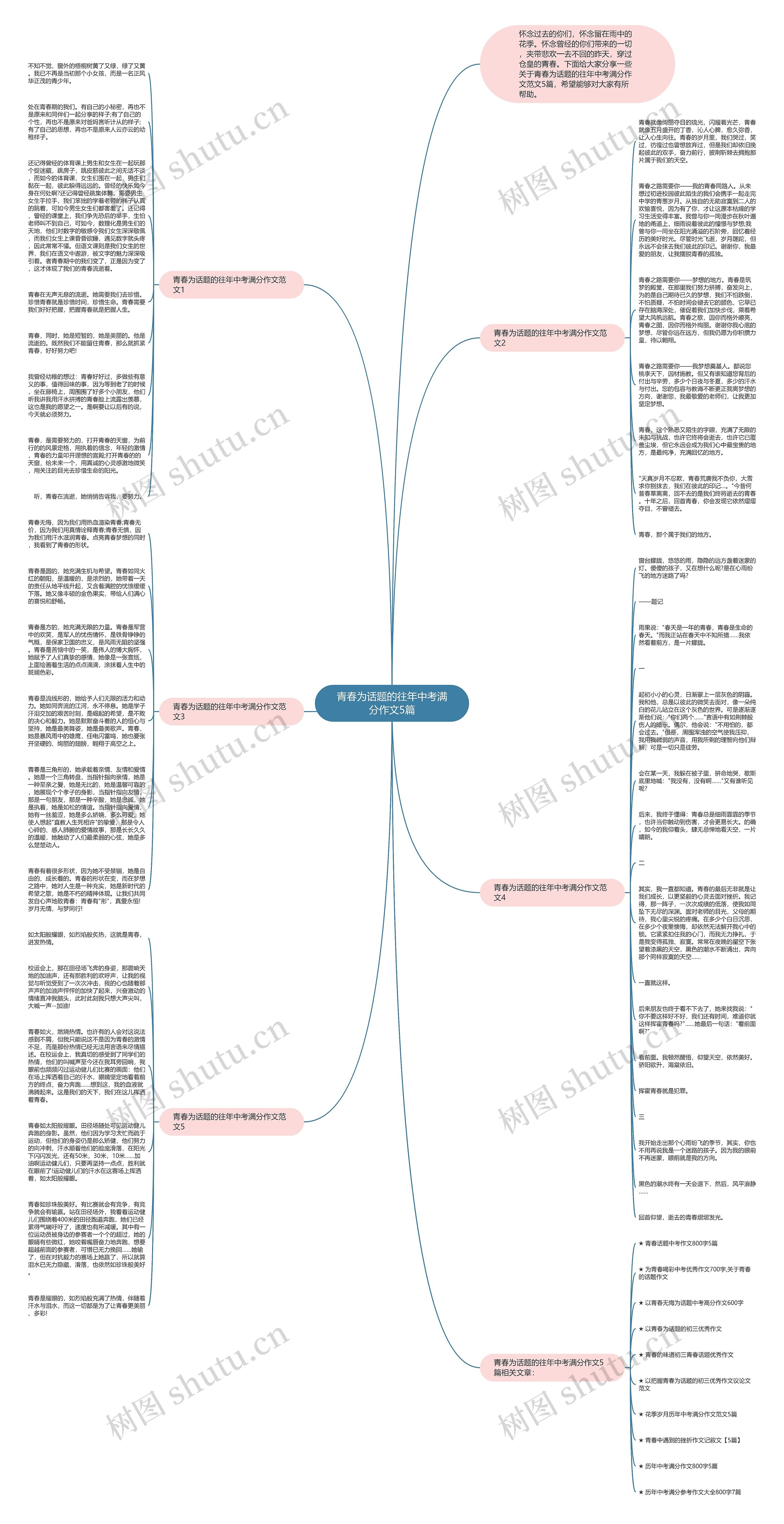 青春为话题的往年中考满分作文5篇思维导图