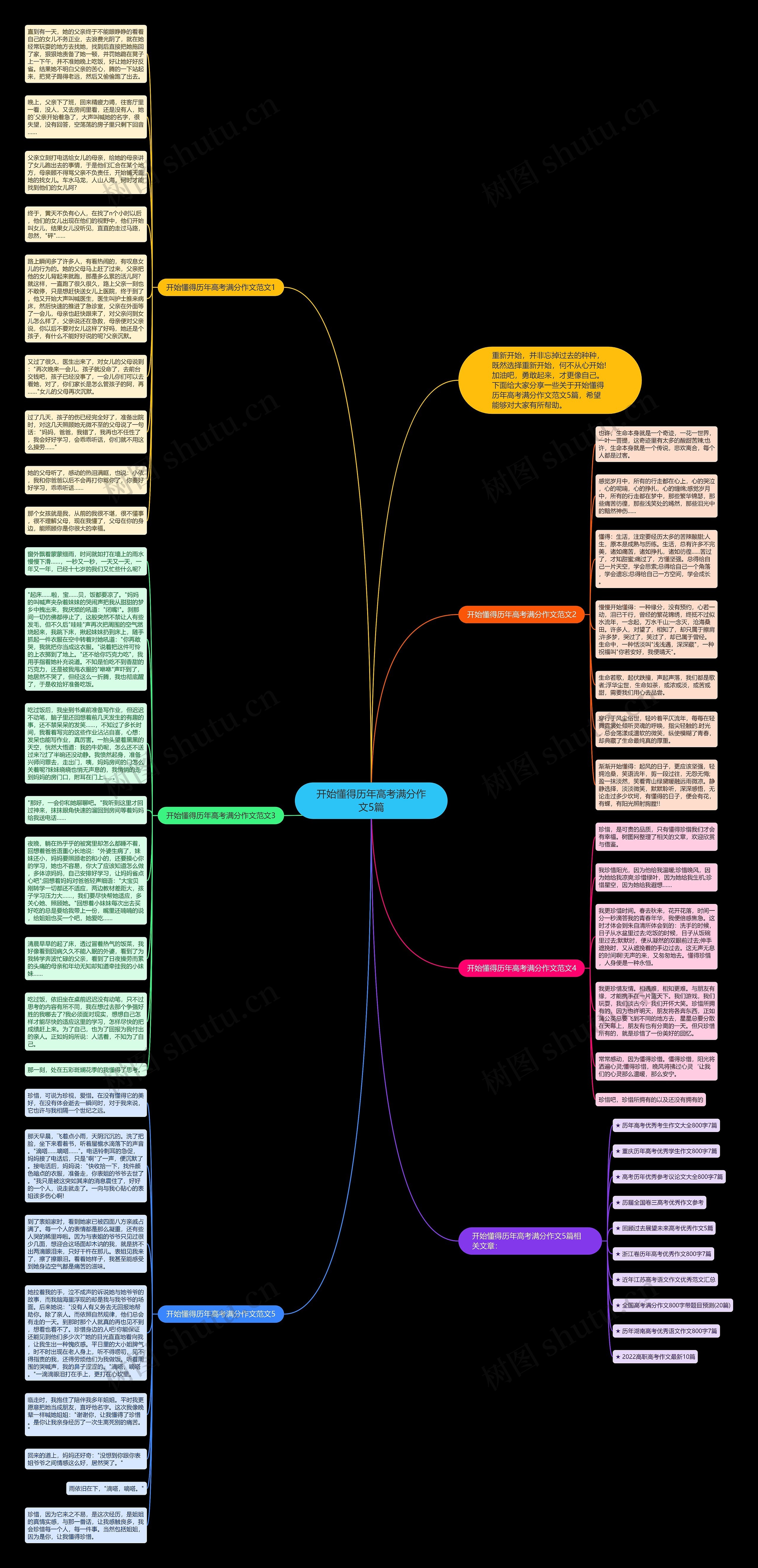 开始懂得历年高考满分作文5篇思维导图