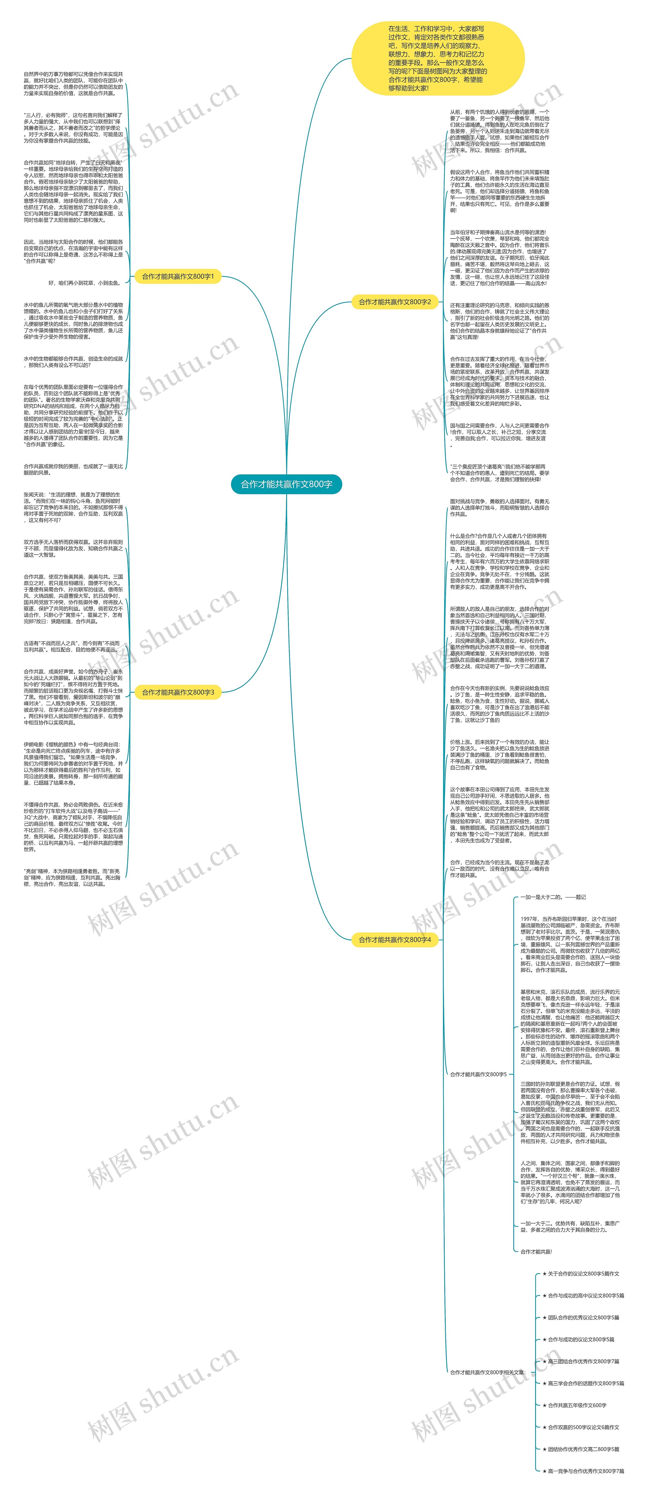 合作才能共赢作文800字思维导图