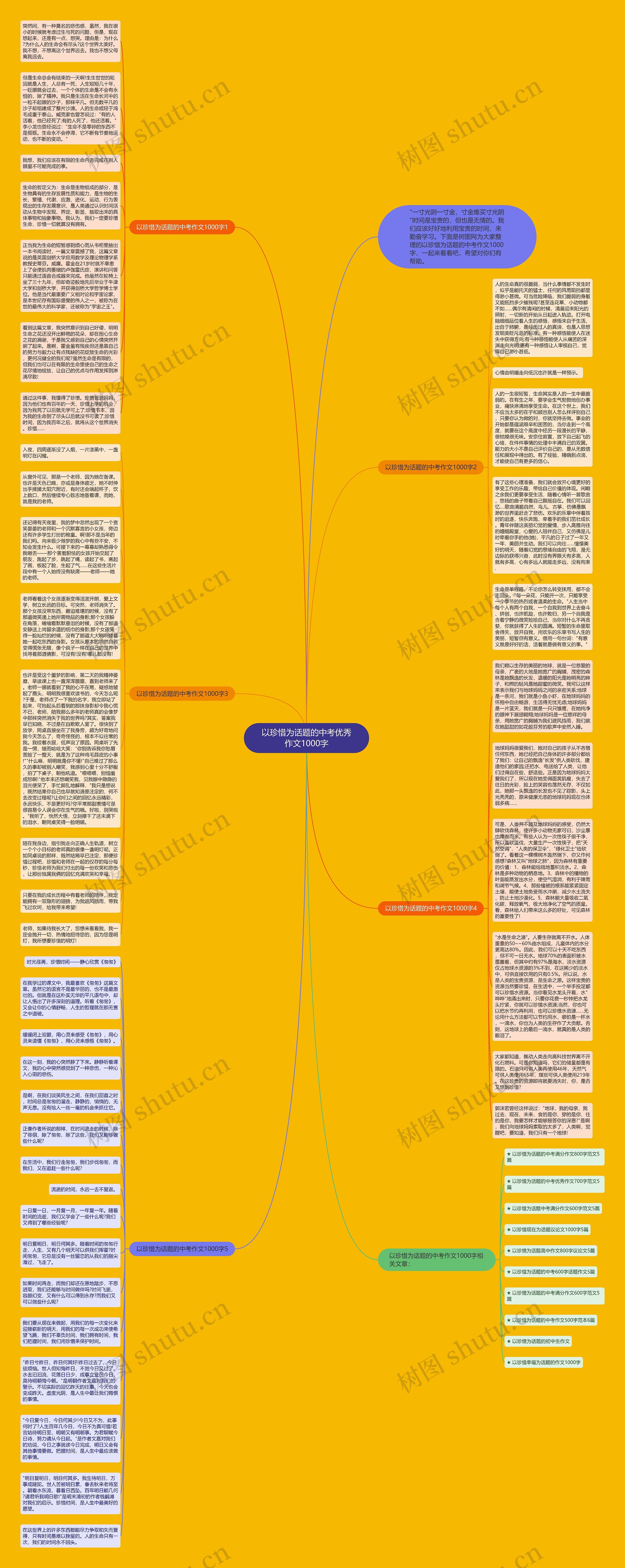 以珍惜为话题的中考优秀作文1000字思维导图