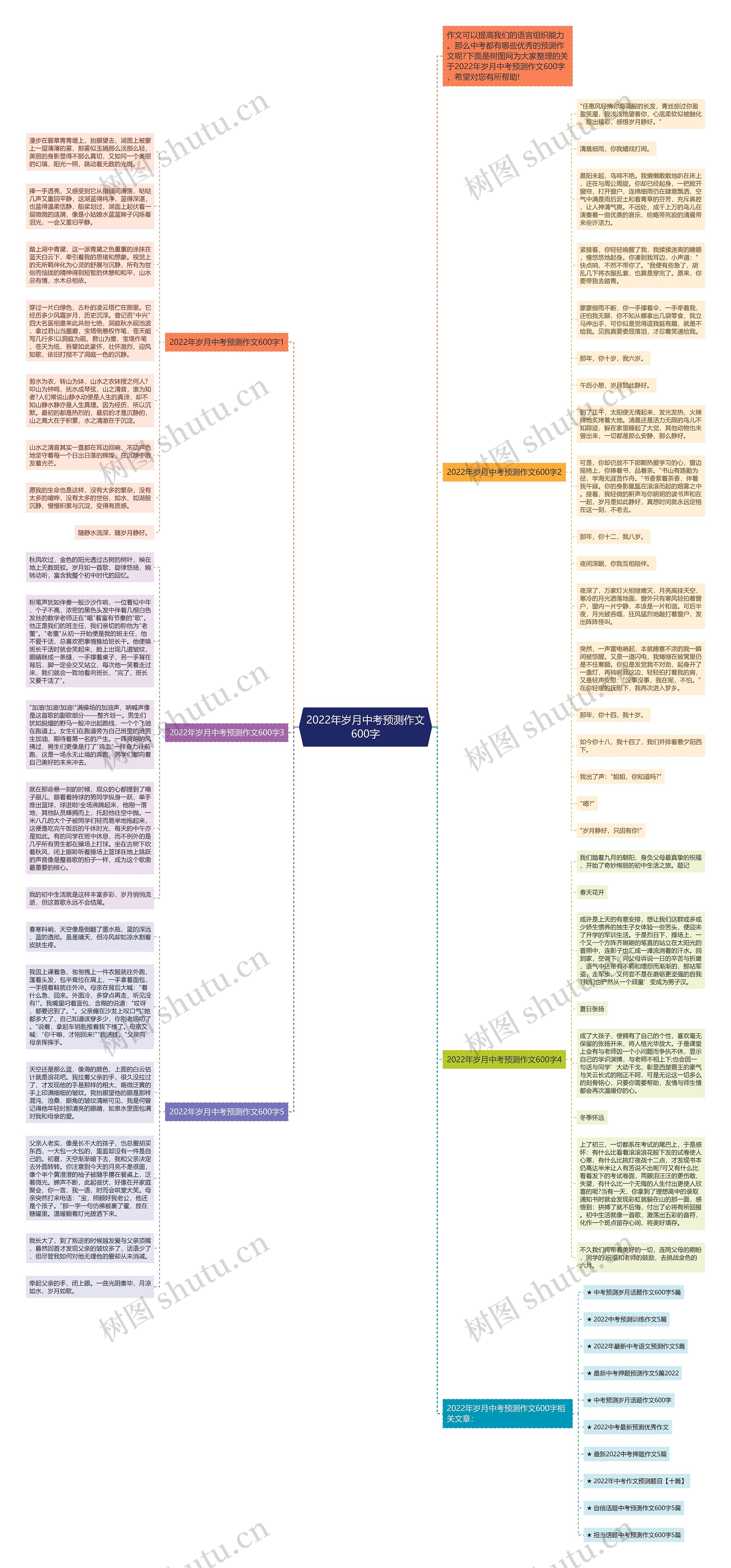2022年岁月中考预测作文600字思维导图