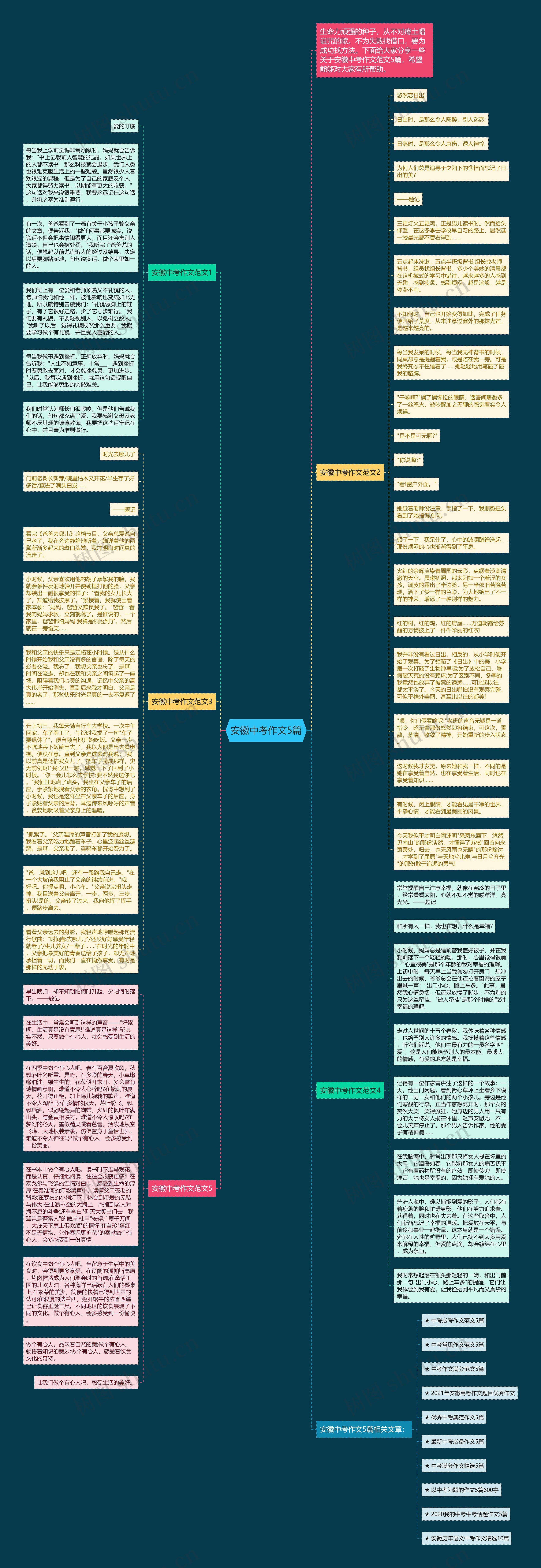 安徽中考作文5篇思维导图