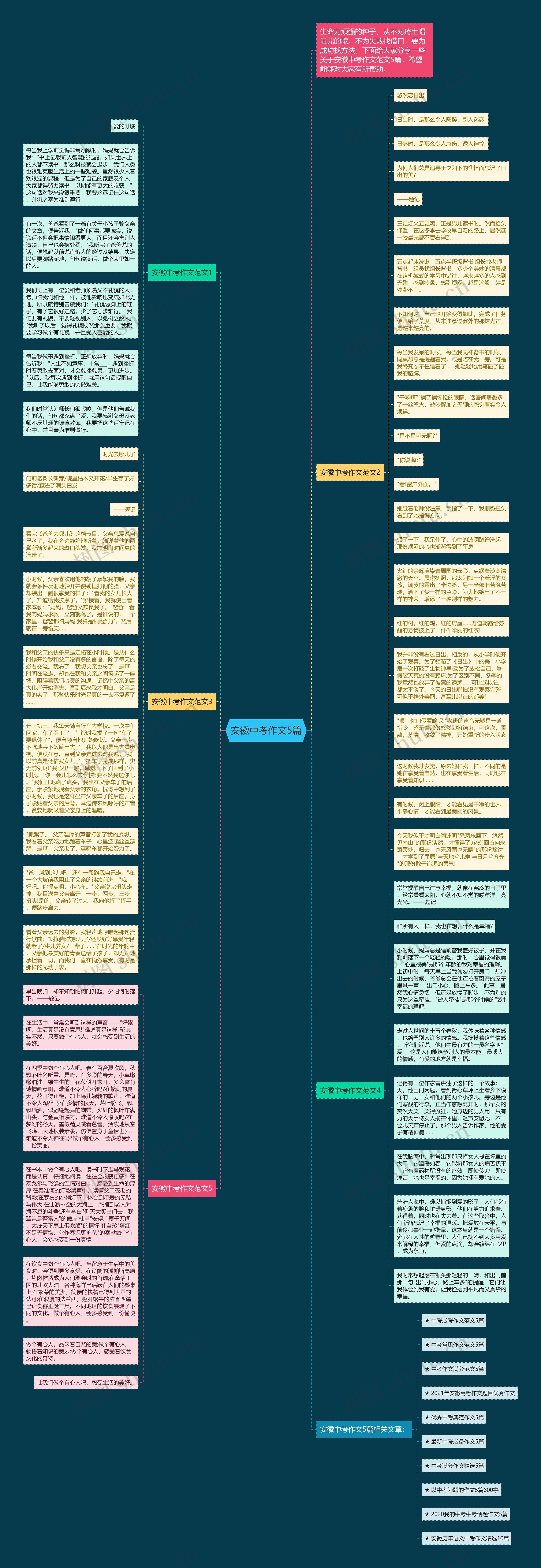 安徽中考作文5篇思维导图高清图 安徽中考作文5篇思维导图