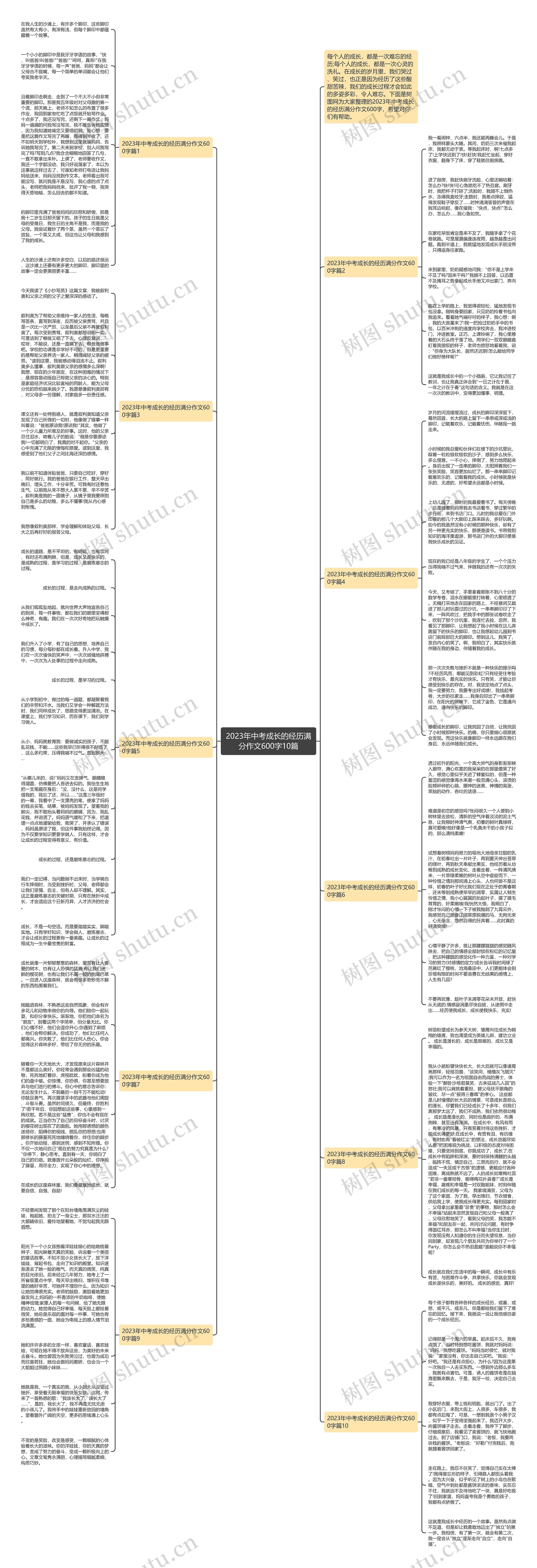 2023年中考成长的经历满分作文600字10篇思维导图