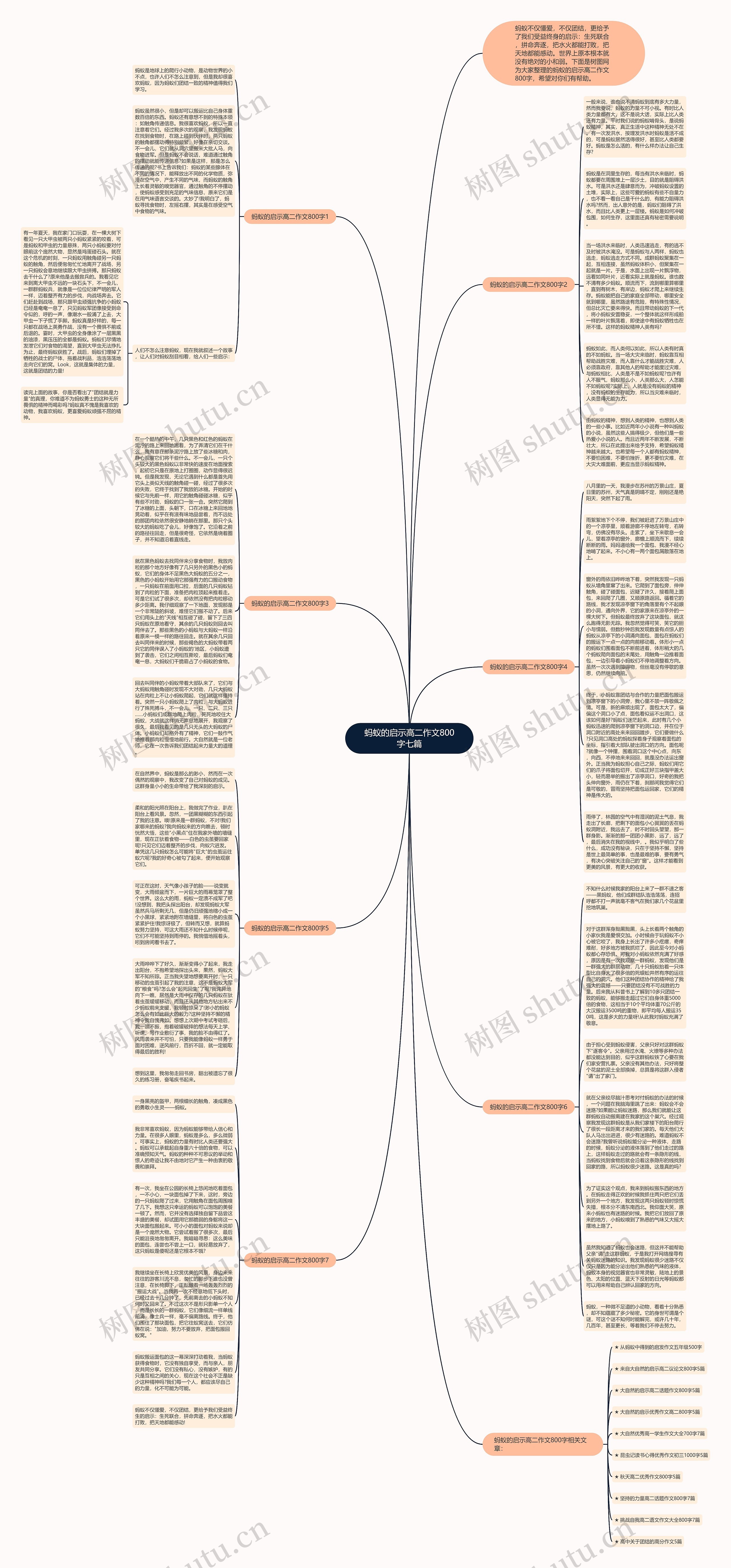 蚂蚁的启示高二作文800字七篇思维导图