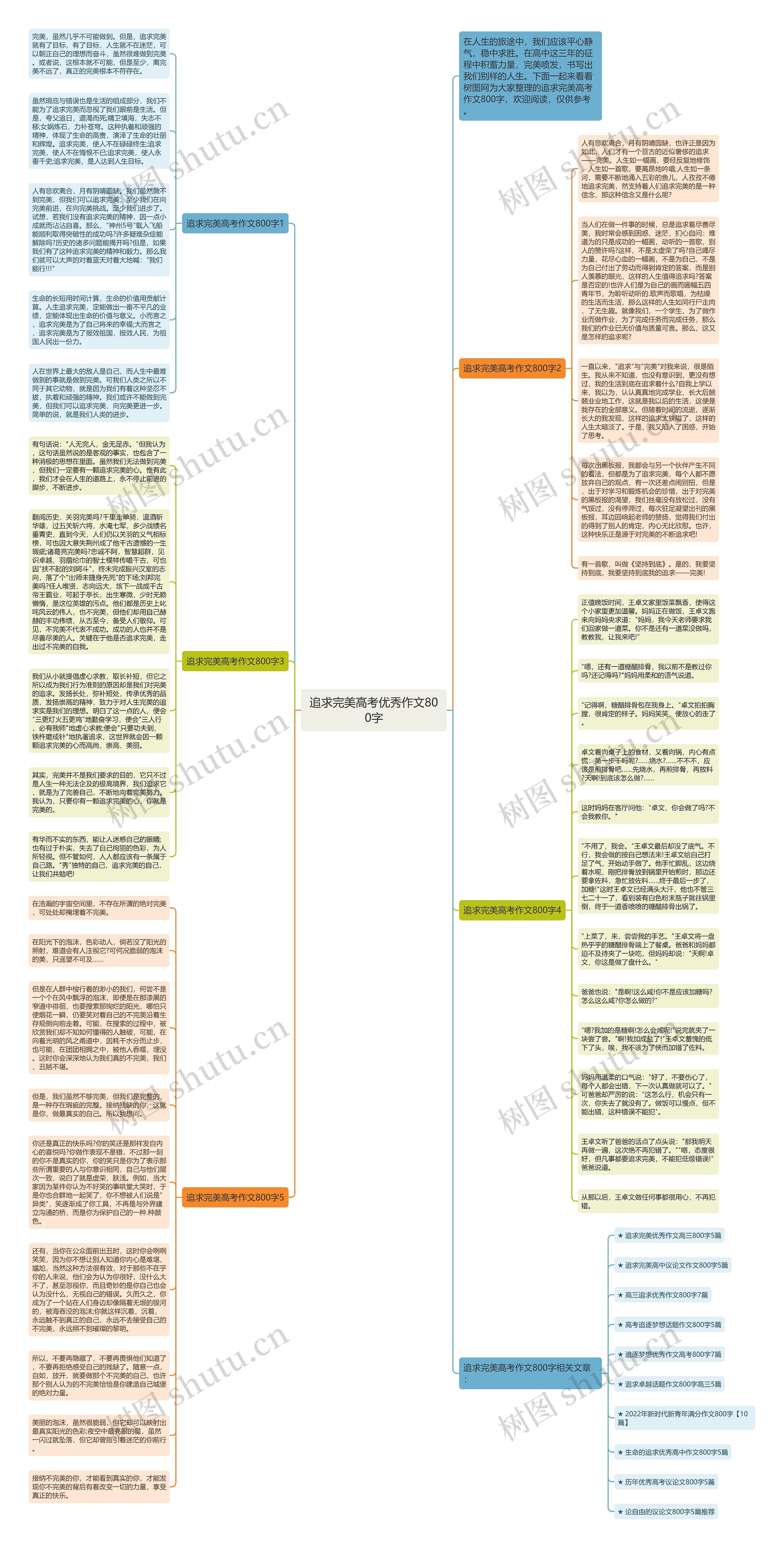 追求完美高考优秀作文800字思维导图