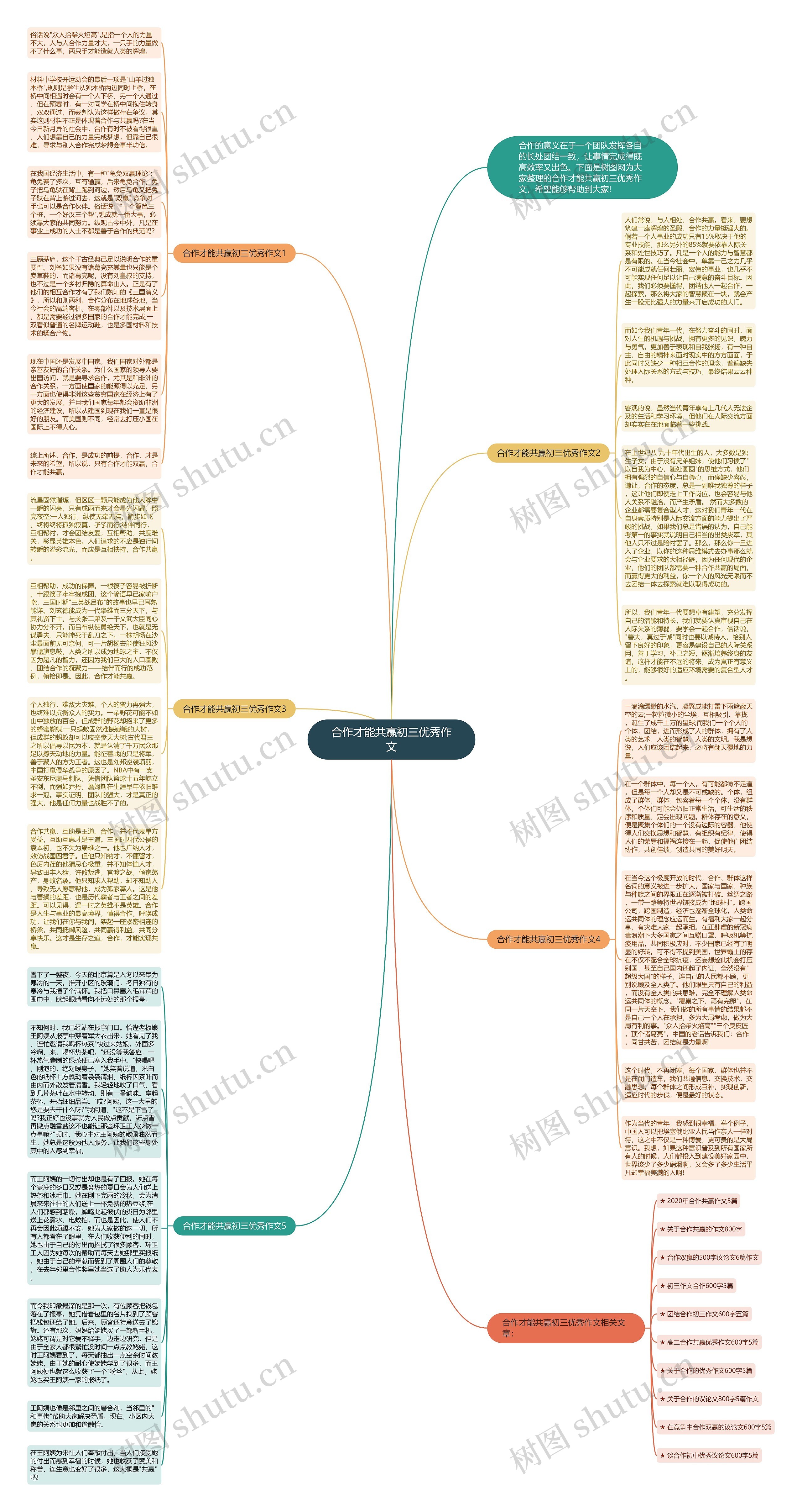 合作才能共赢初三优秀作文思维导图