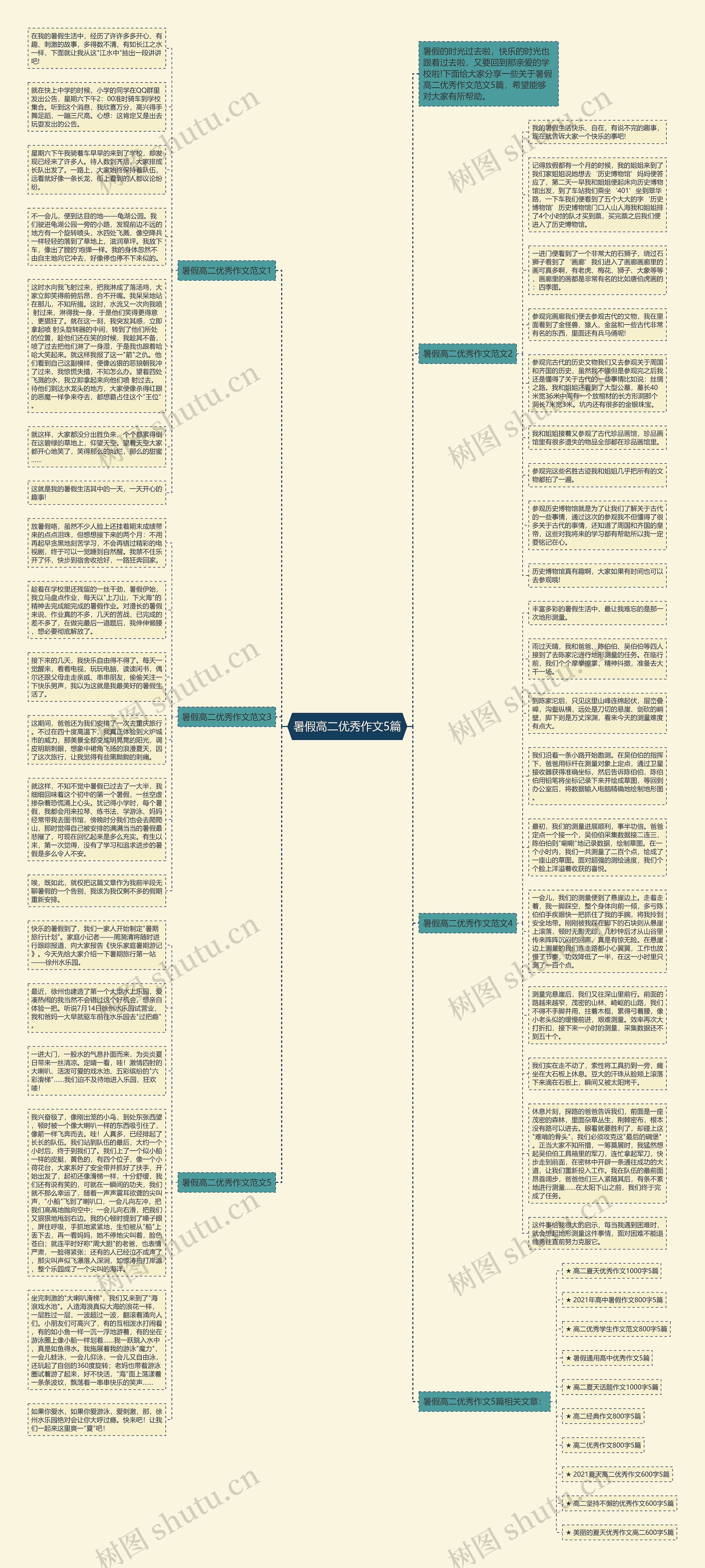 暑假高二优秀作文5篇思维导图