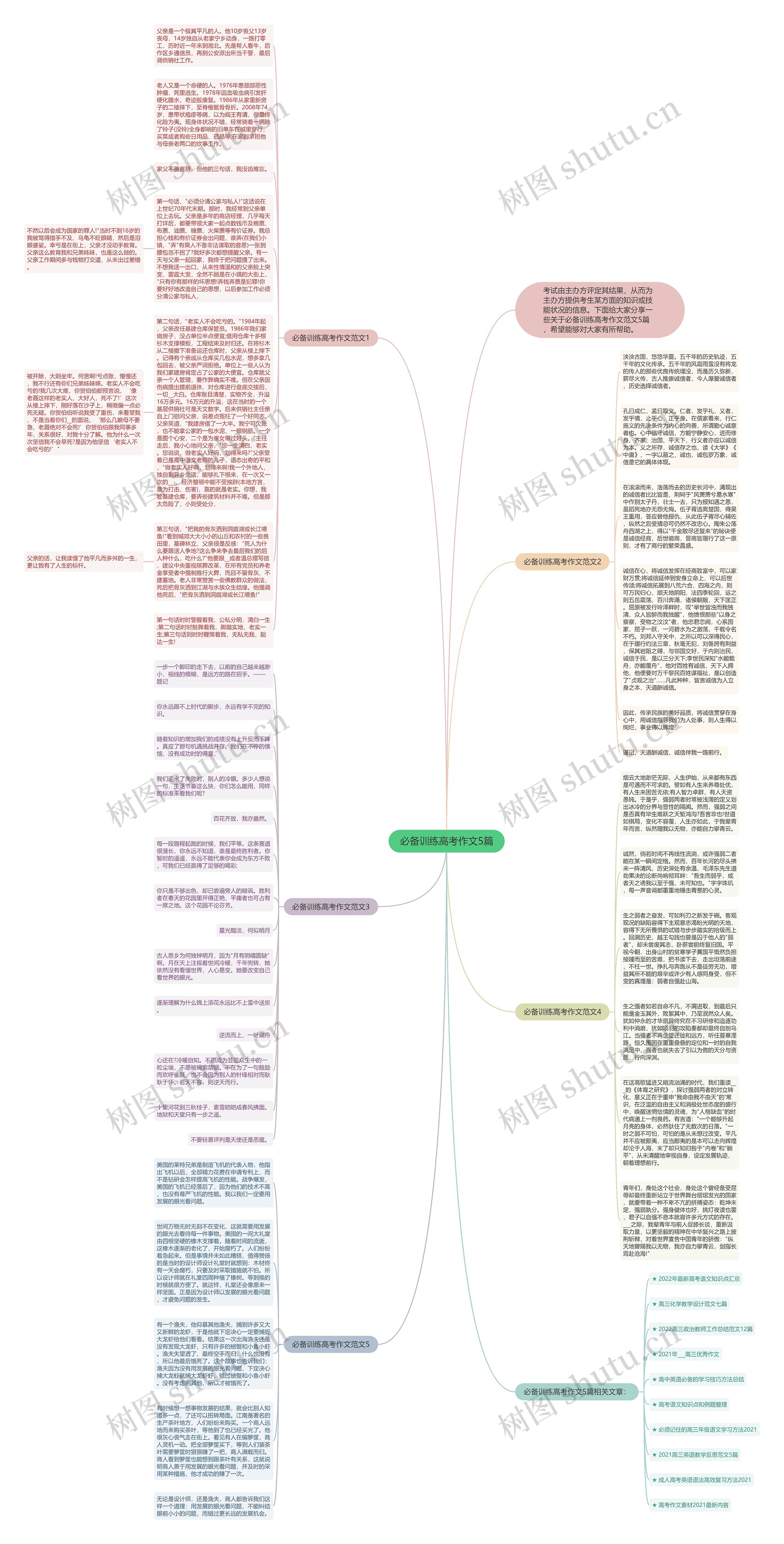 必备训练高考作文5篇思维导图
