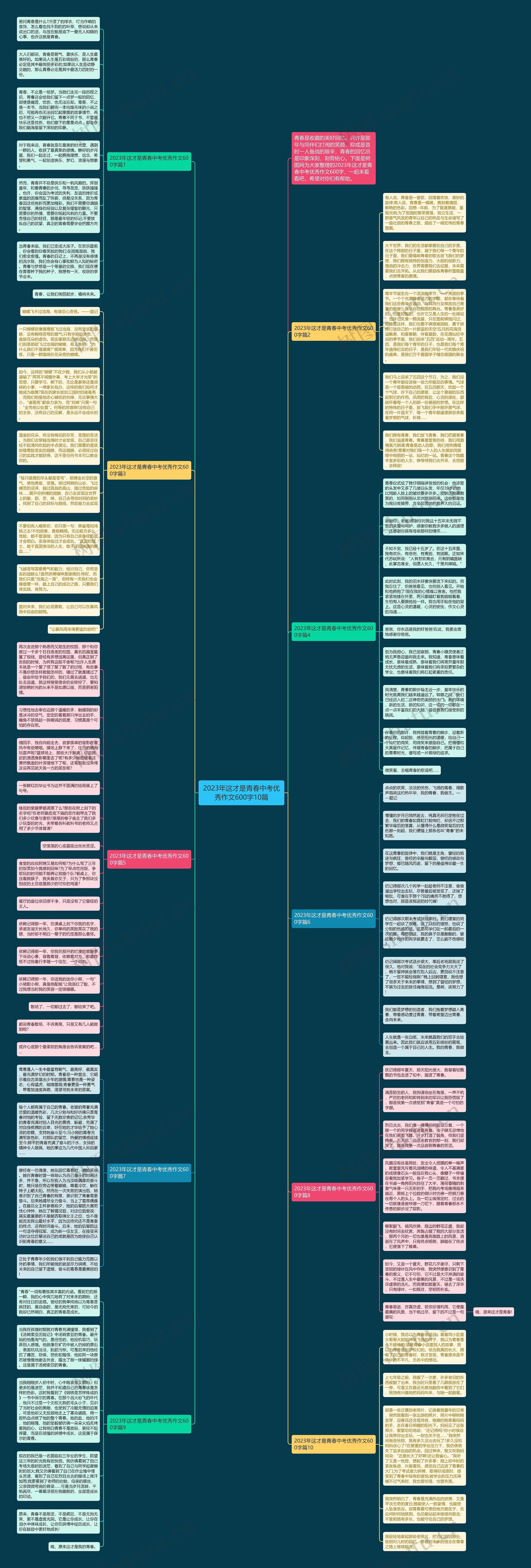 2023年这才是青春中考优秀作文600字10篇思维导图