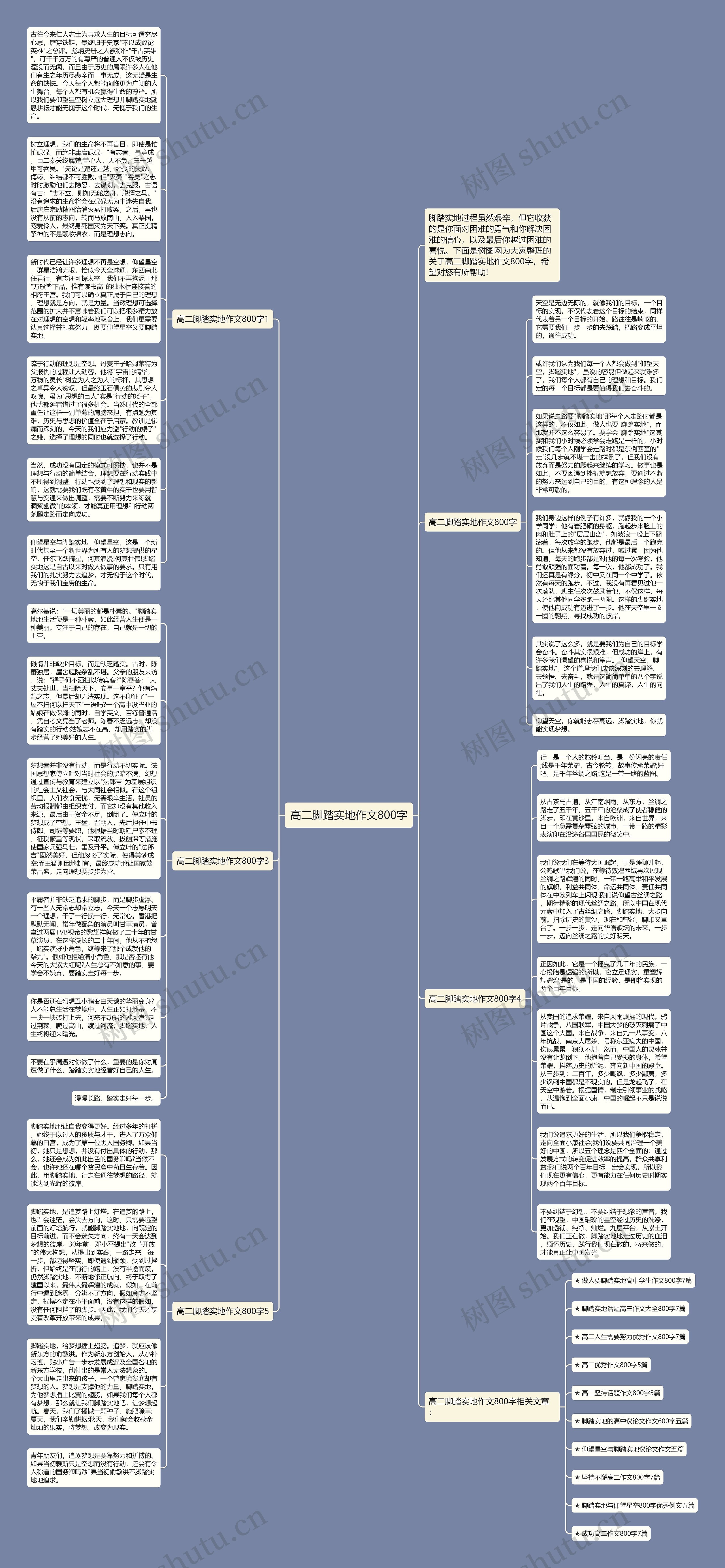 高二脚踏实地作文800字思维导图