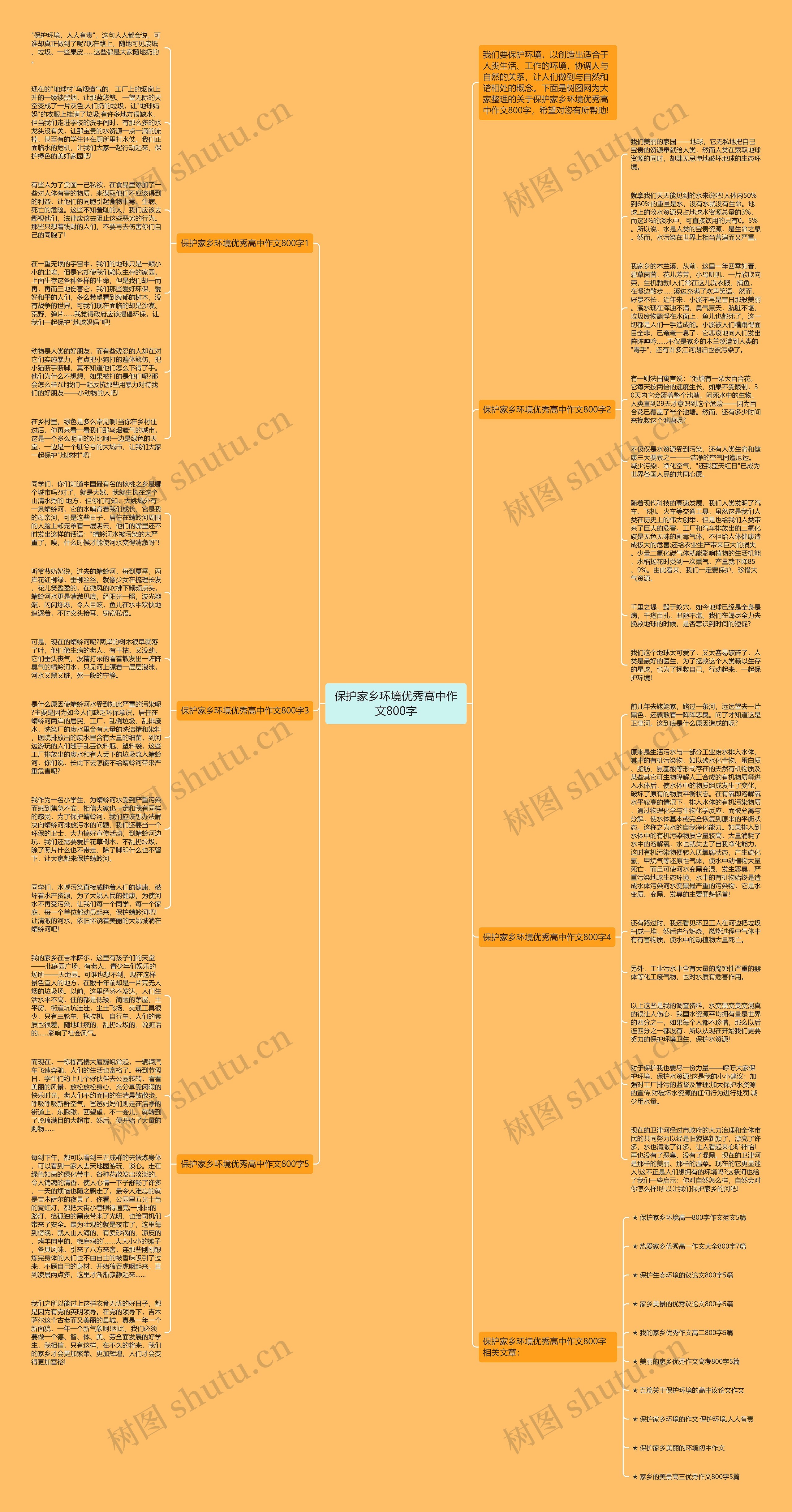 保护家乡环境优秀高中作文800字思维导图