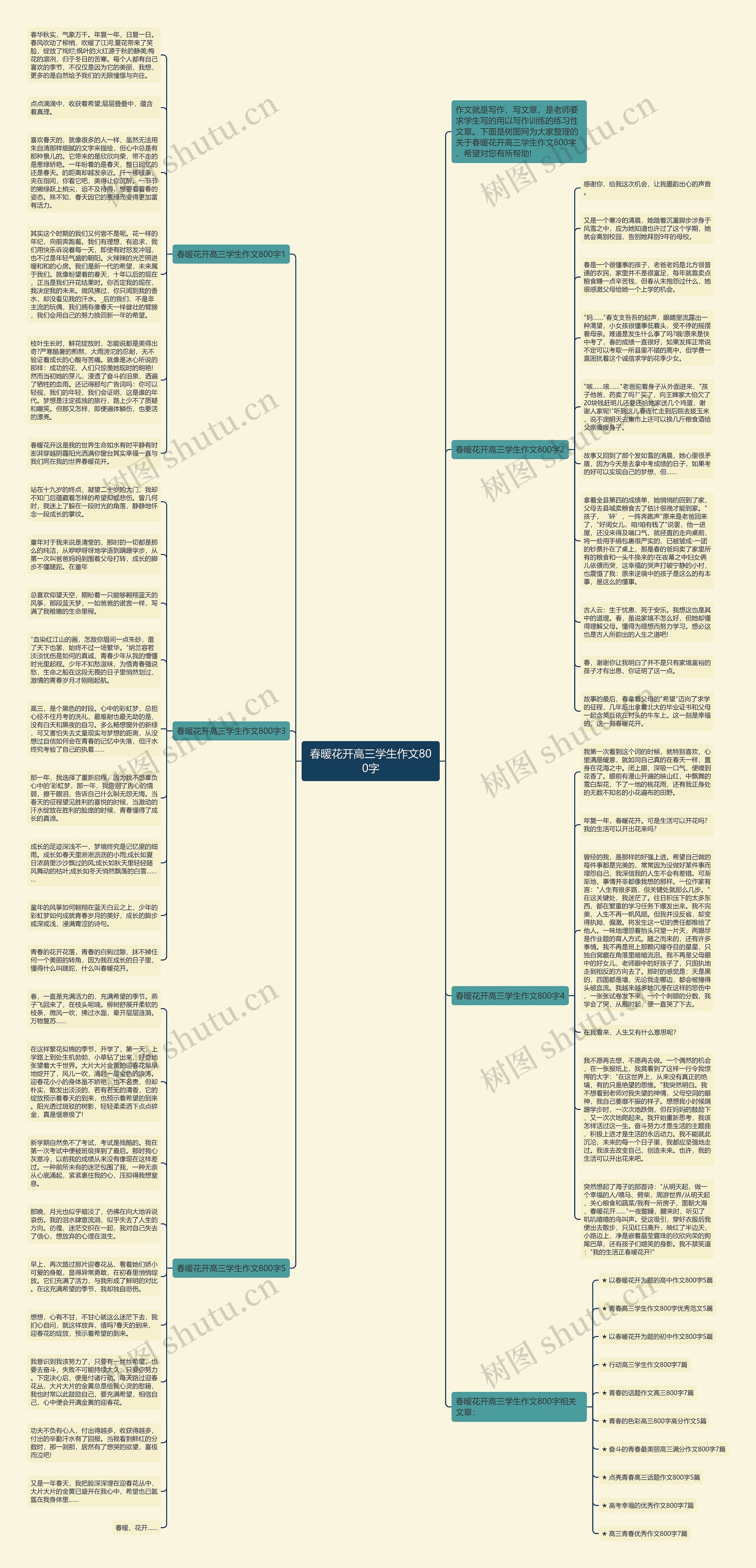 春暖花开高三学生作文800字思维导图