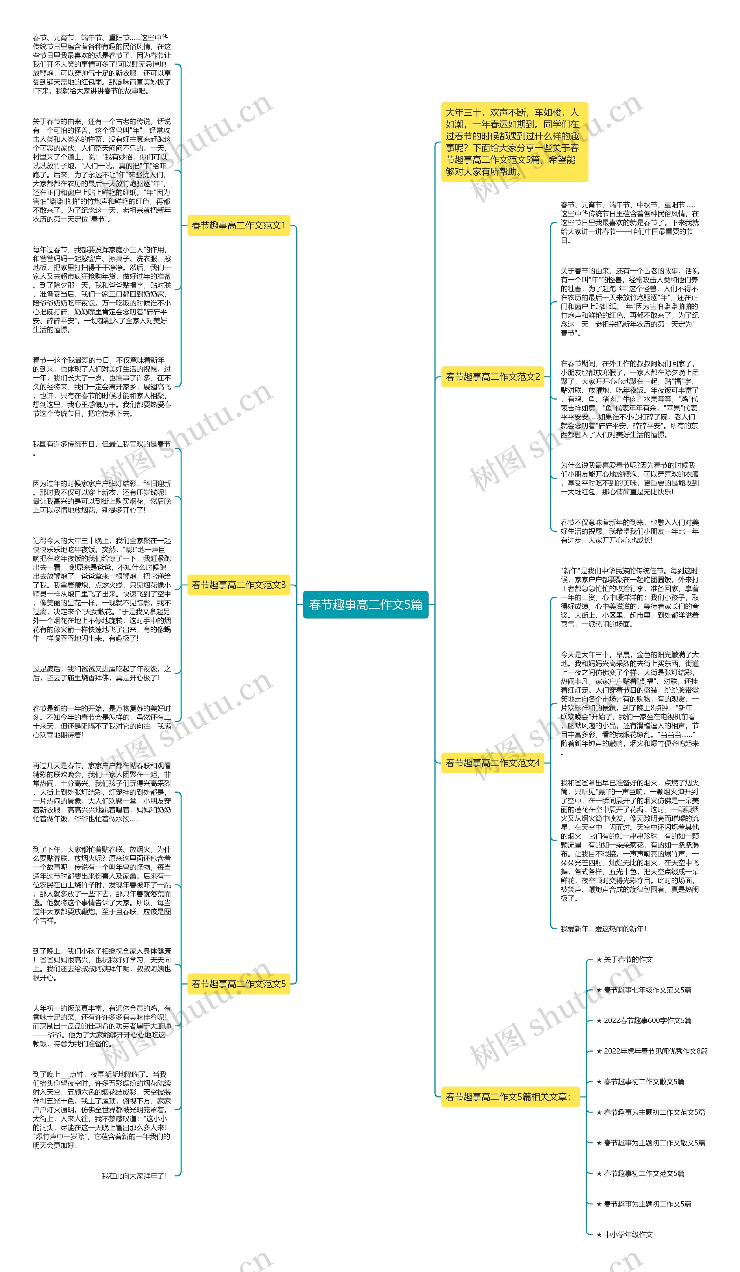春节趣事高二作文5篇思维导图