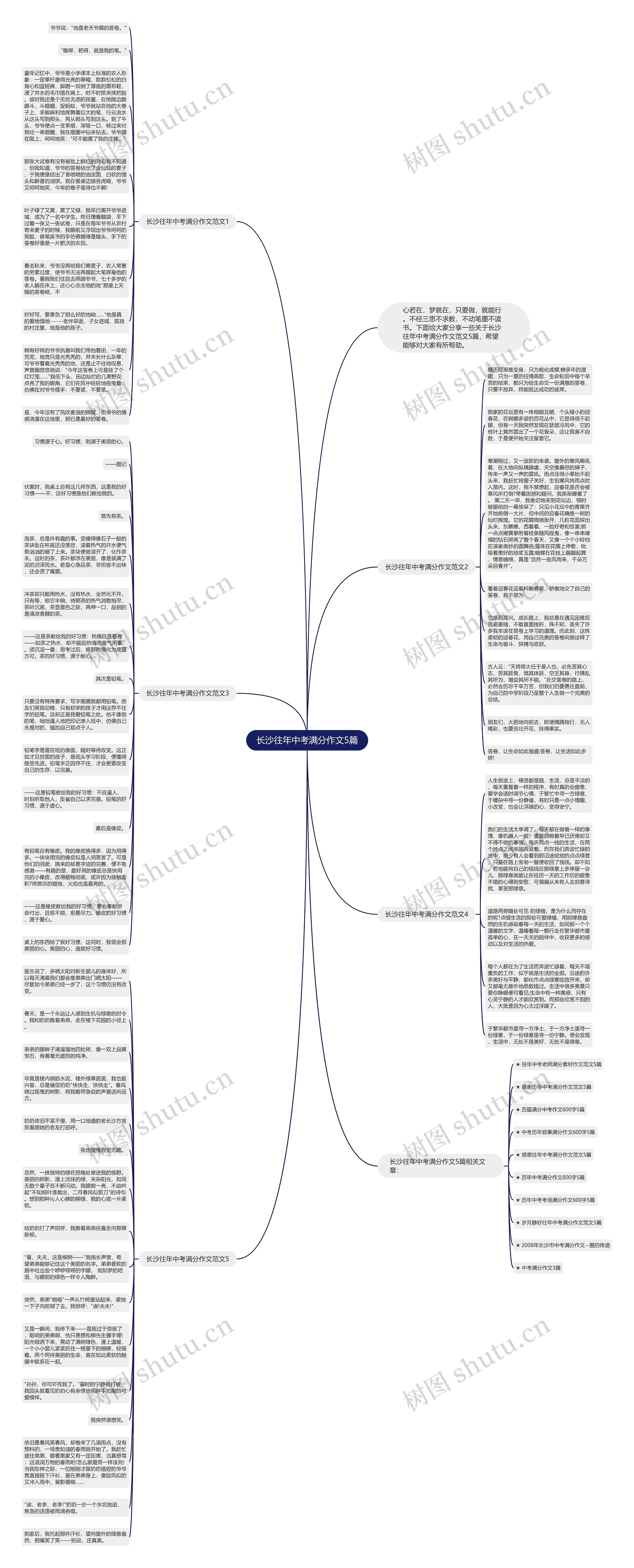 长沙往年中考满分作文5篇思维导图
