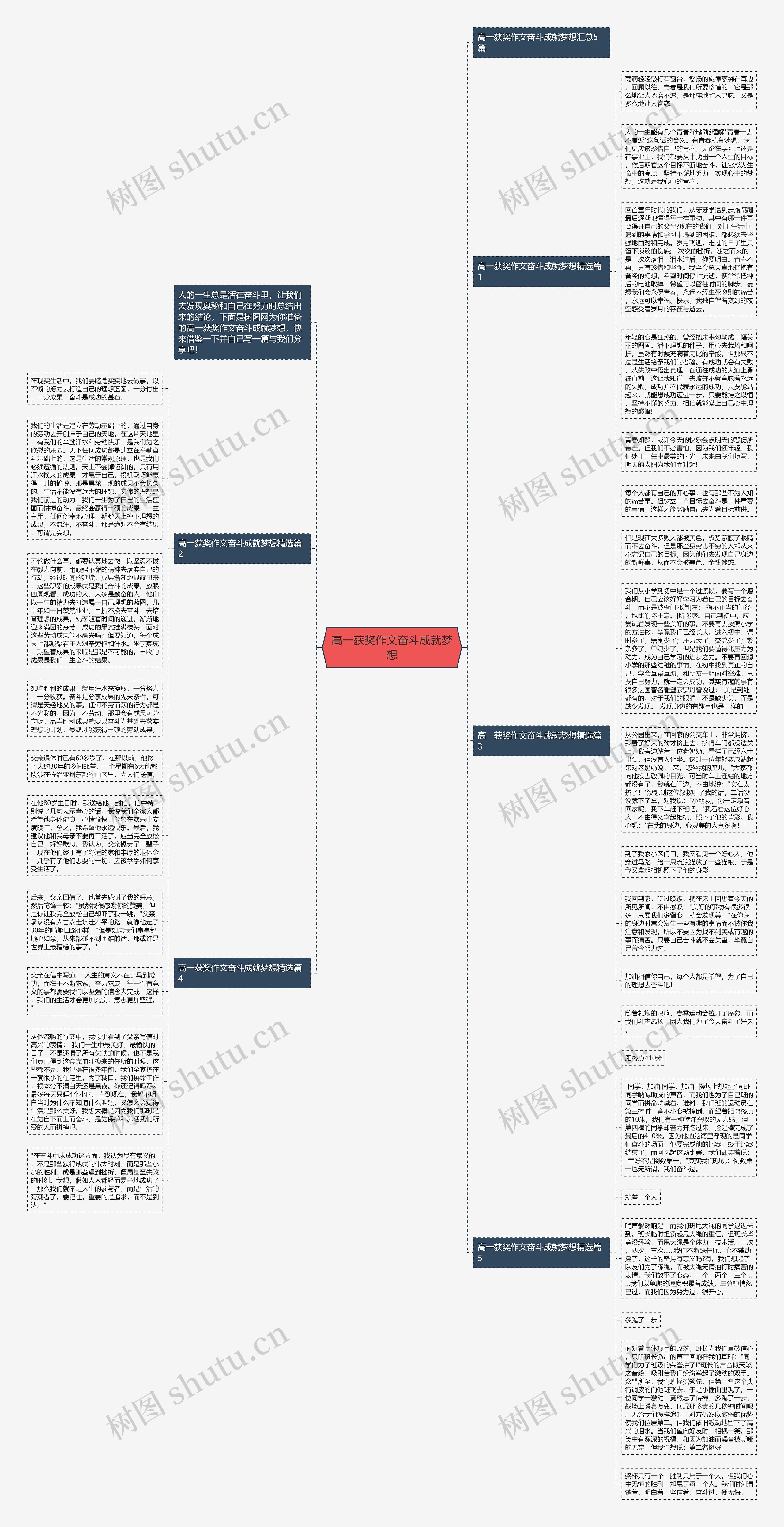 高一获奖作文奋斗成就梦想思维导图