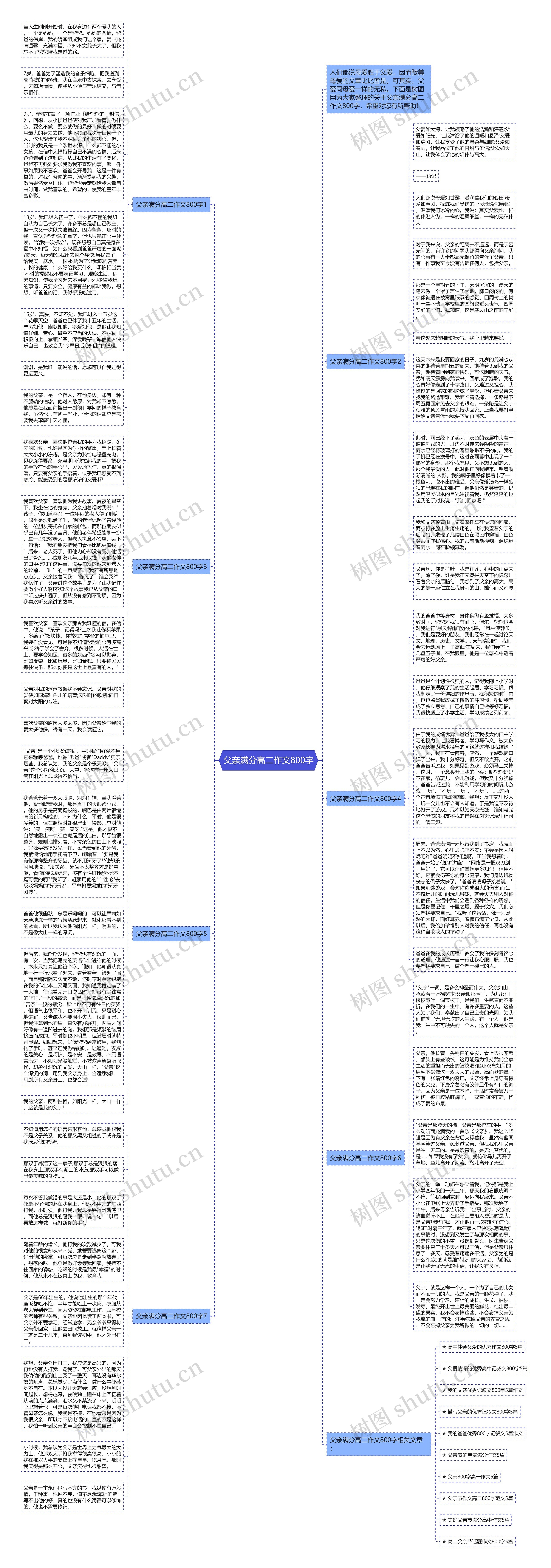 父亲满分高二作文800字思维导图