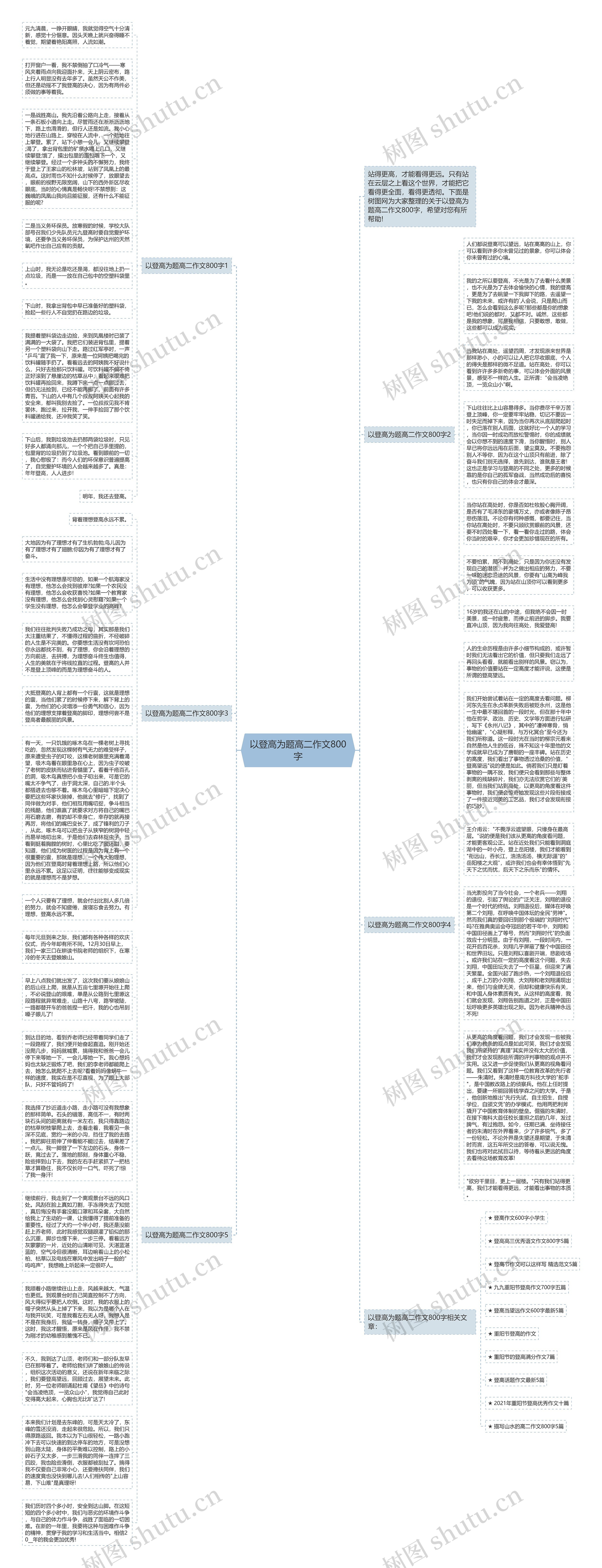 以登高为题高二作文800字思维导图