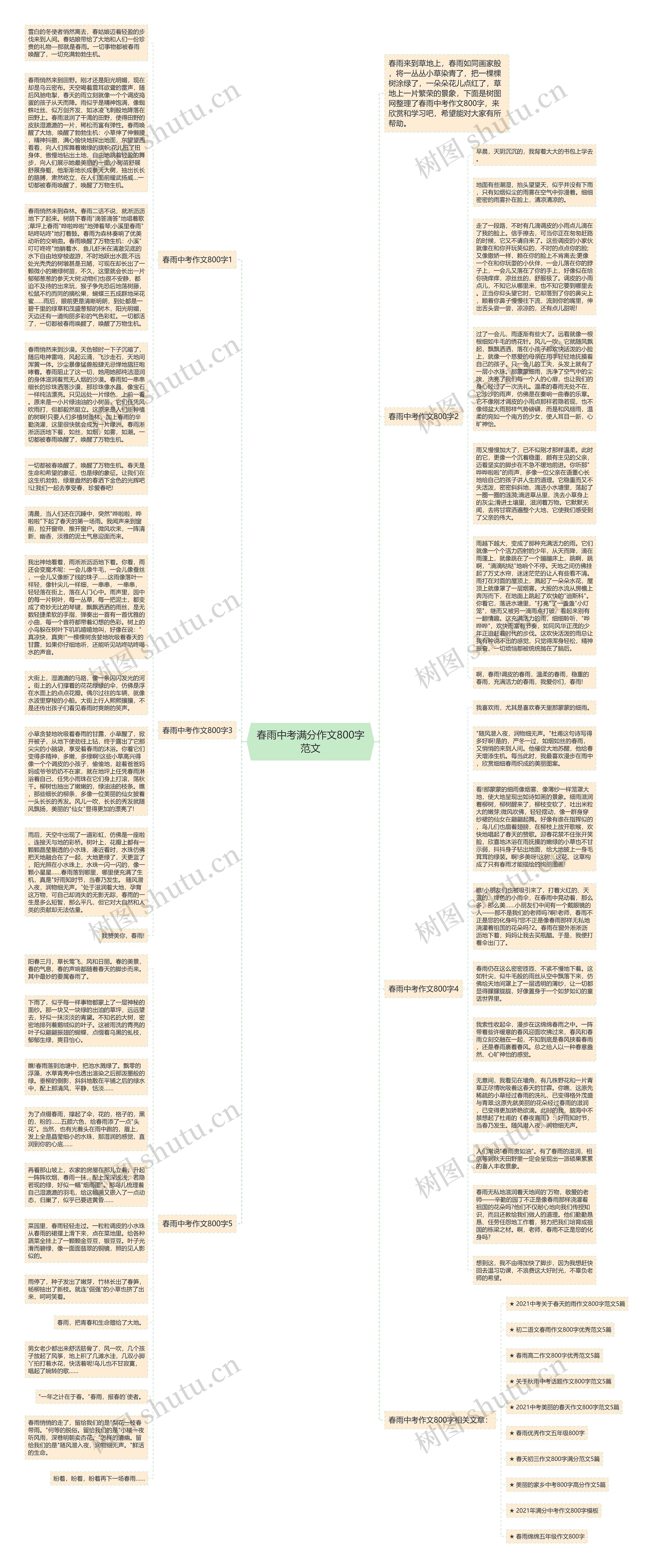 春雨中考满分作文800字范文思维导图