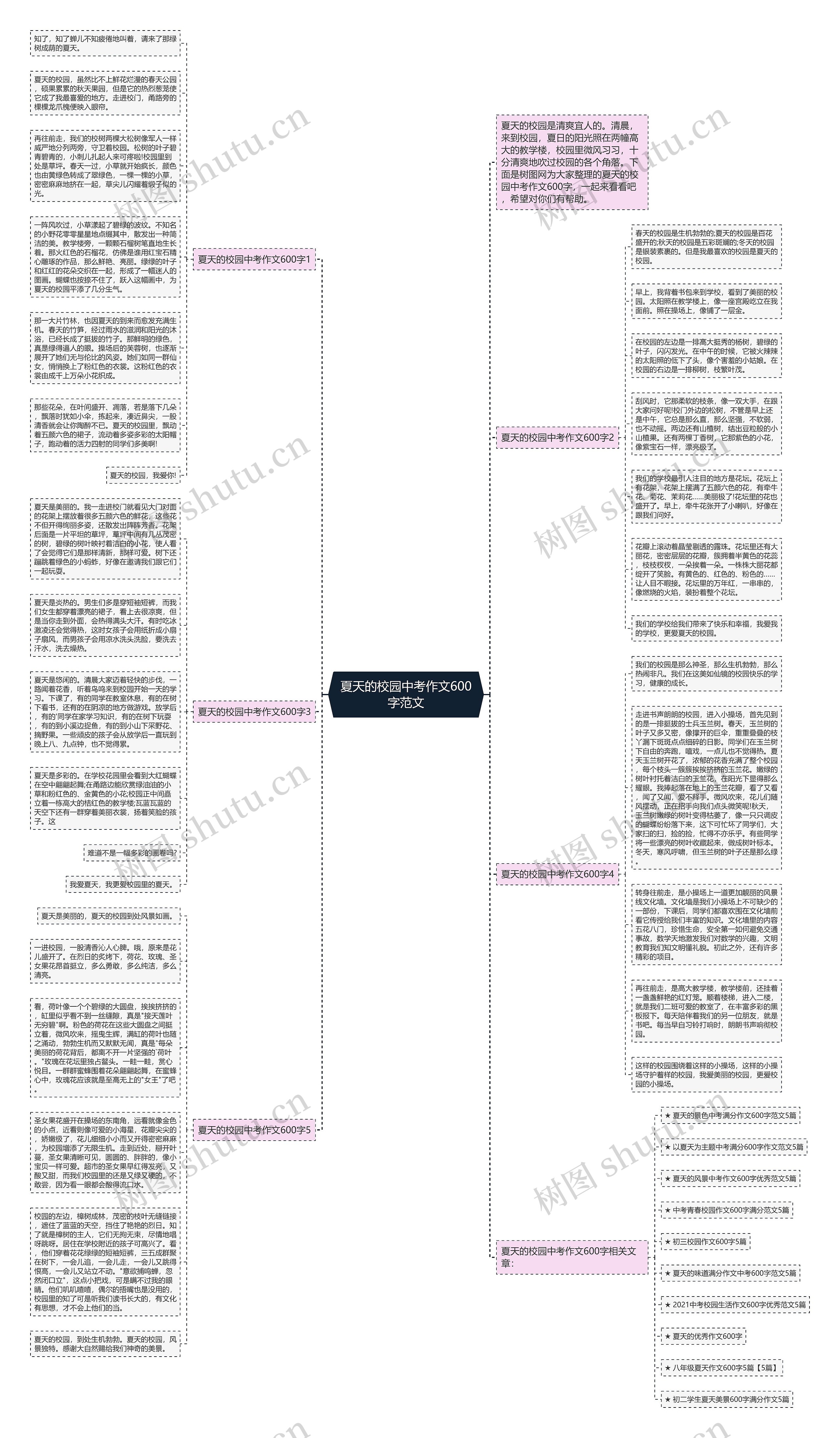 夏天的校园中考作文600字范文思维导图