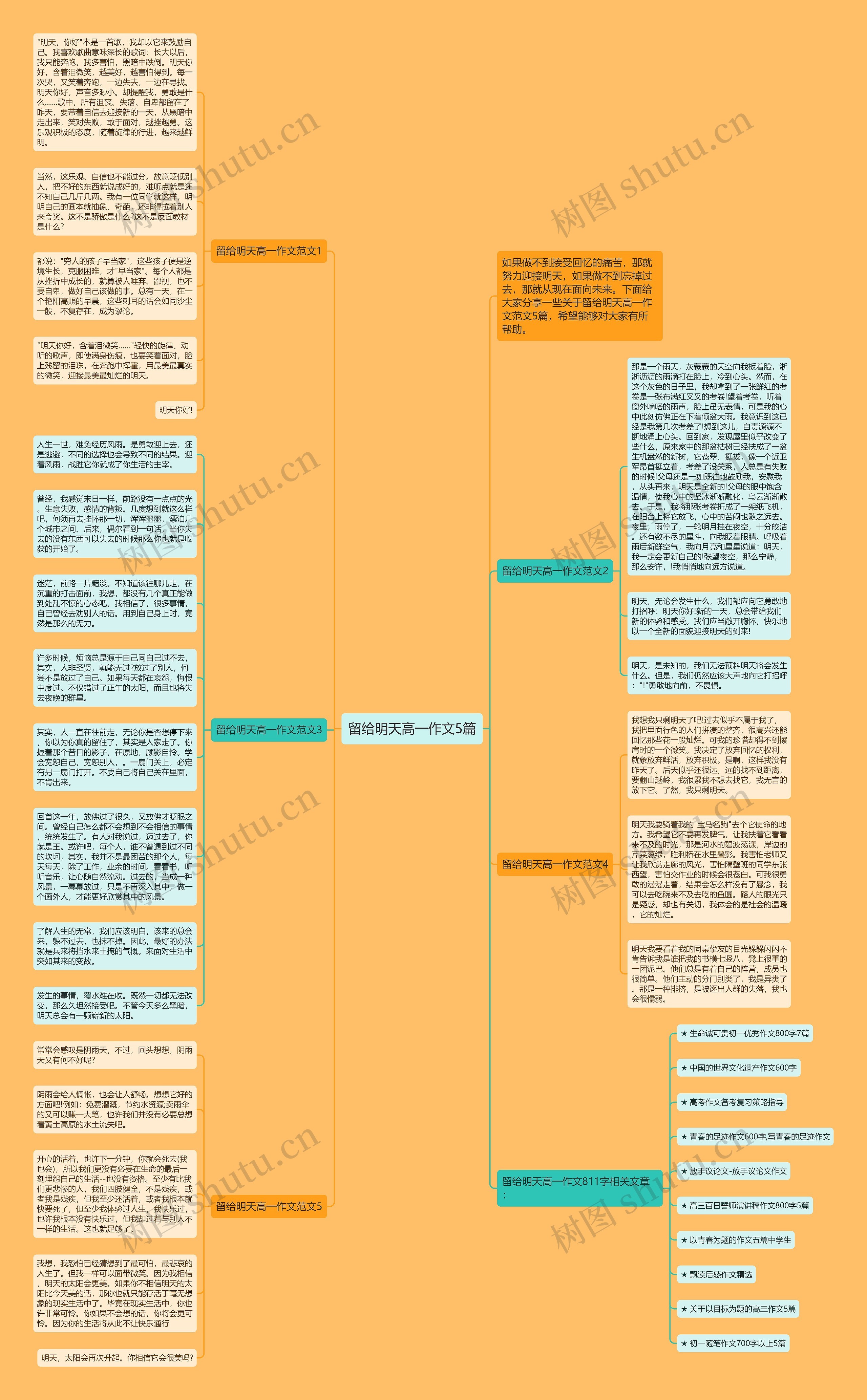 留给明天高一作文5篇思维导图
