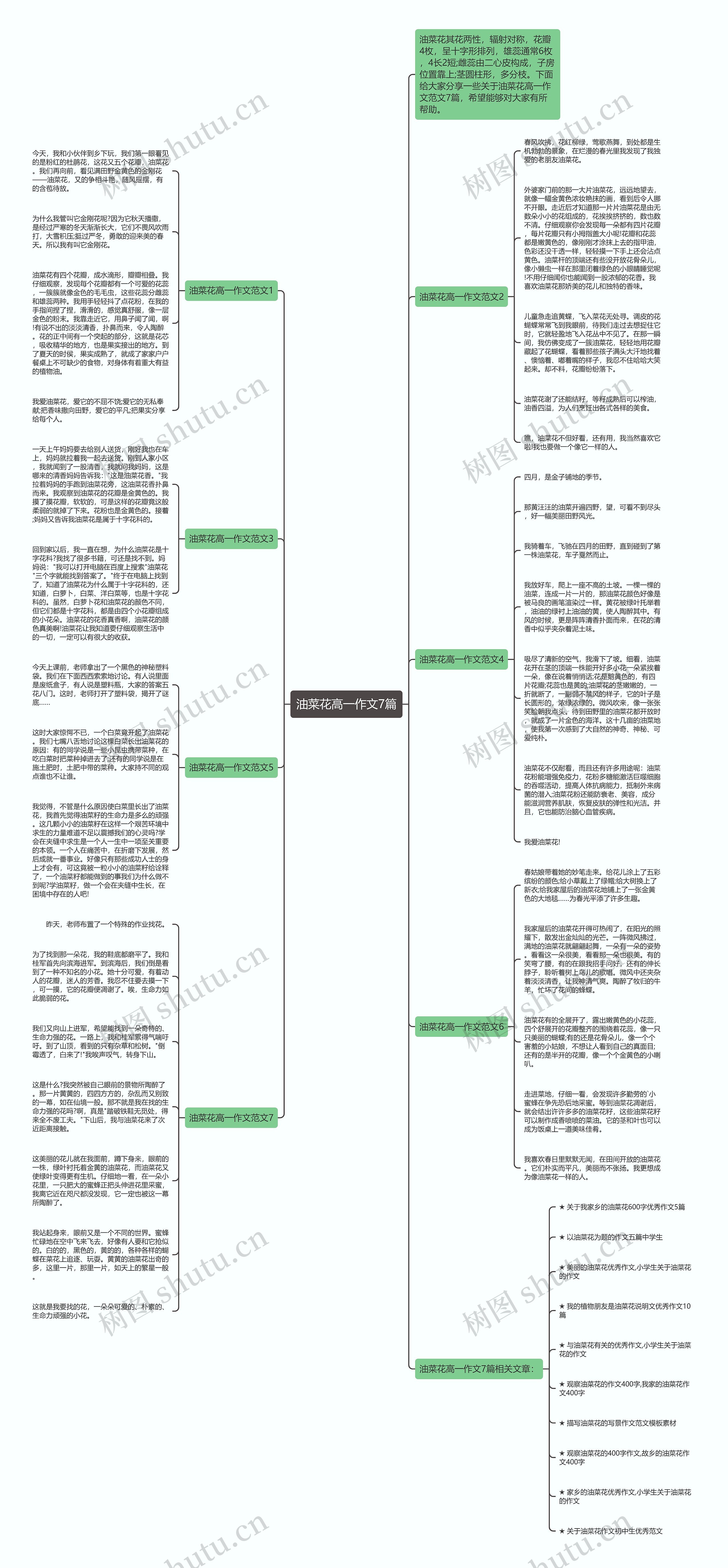 油菜花高一作文7篇思维导图