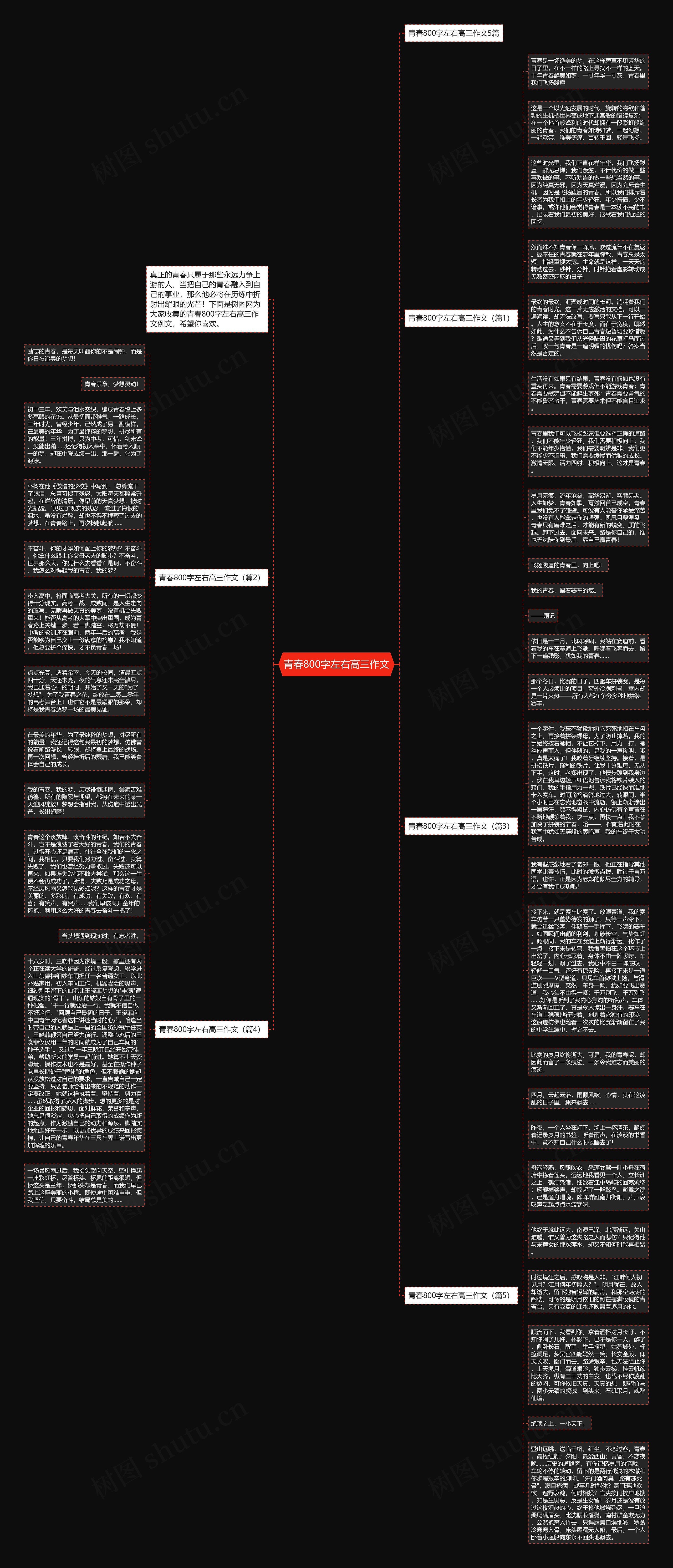 青春800字左右高三作文思维导图