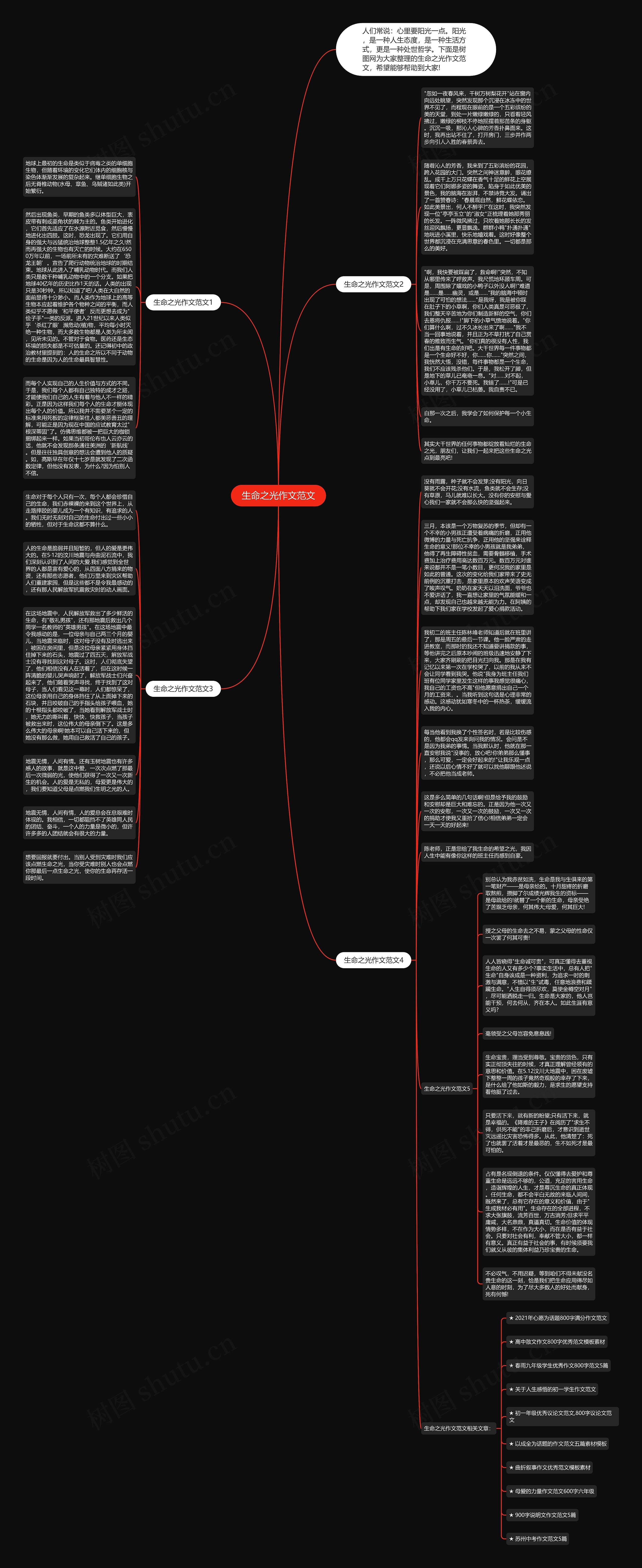 生命之光作文范文思维导图
