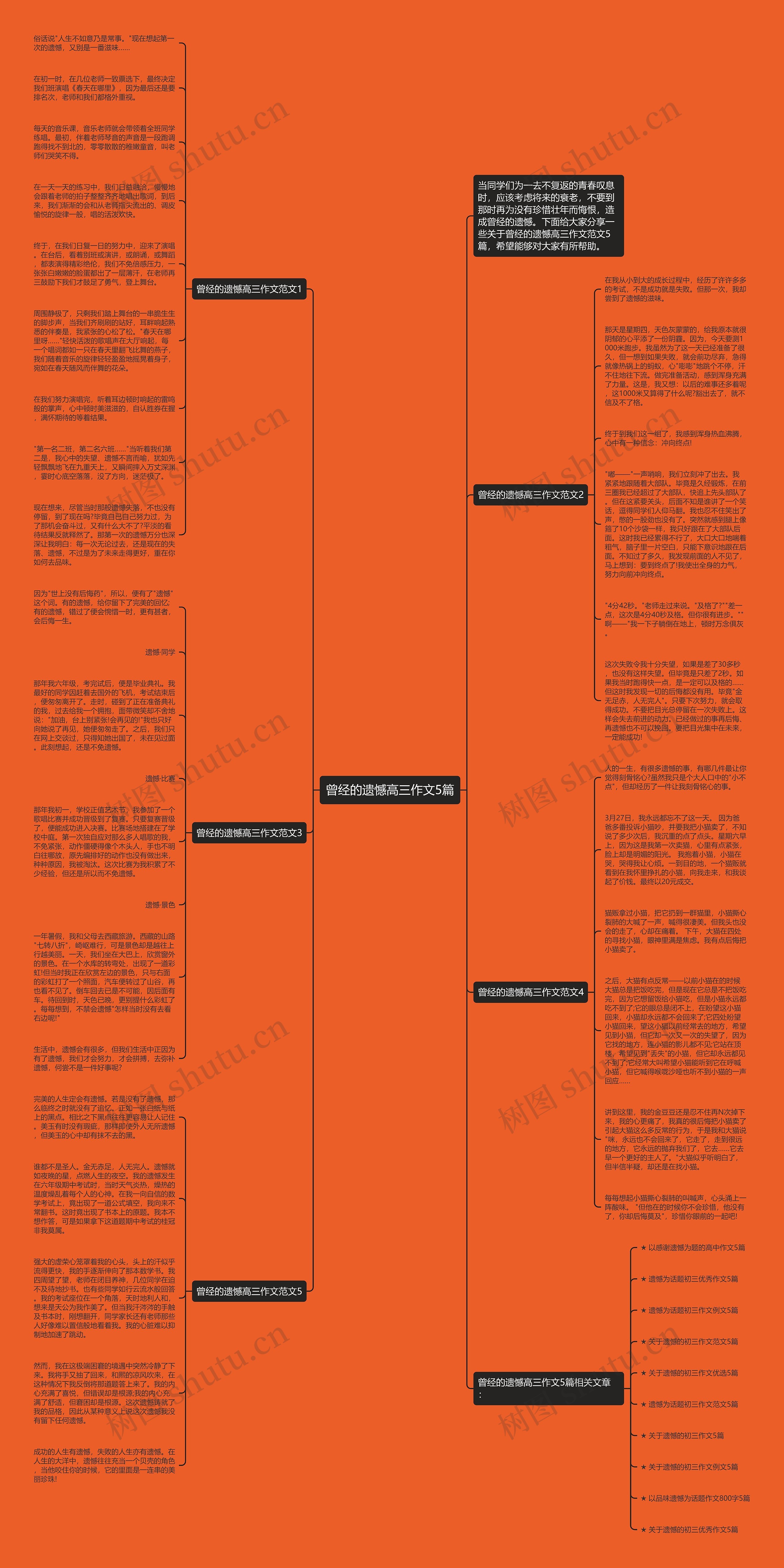 曾经的遗憾高三作文5篇思维导图