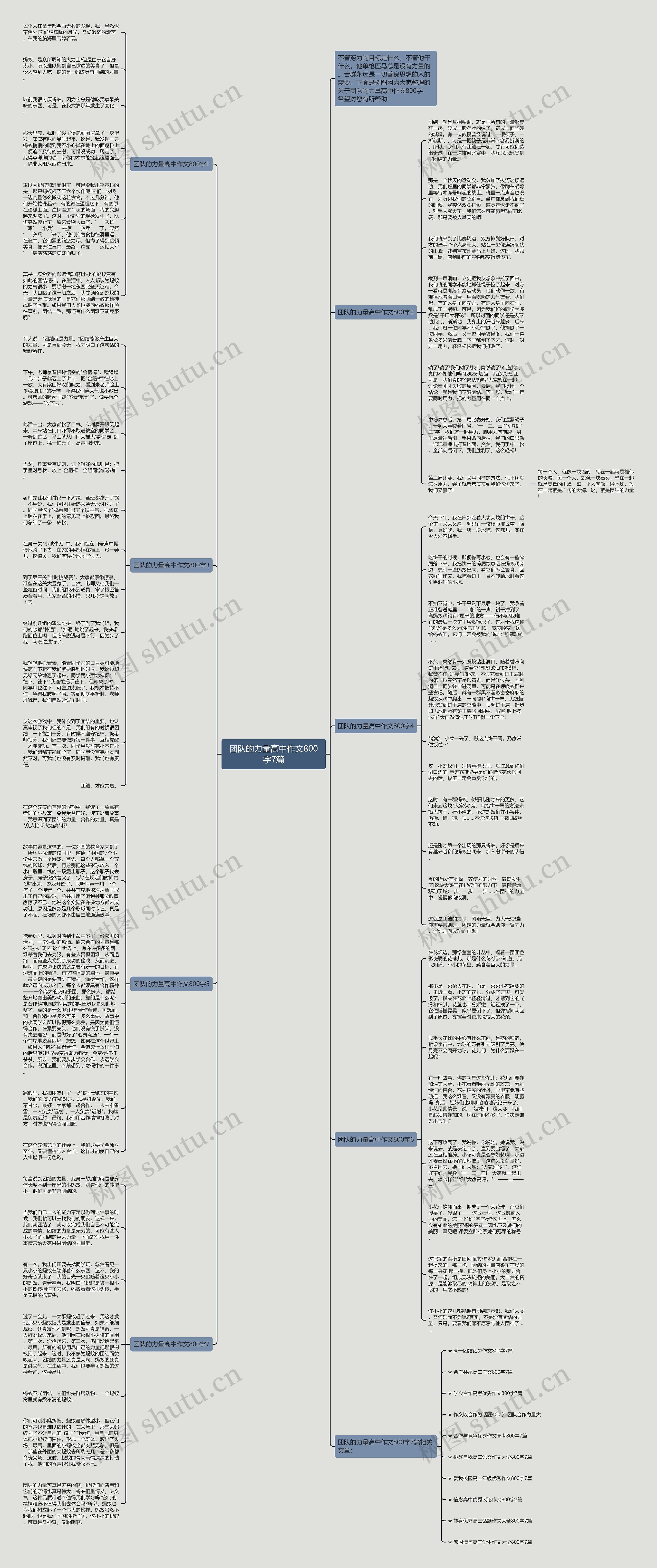 团队的力量高中作文800字7篇思维导图