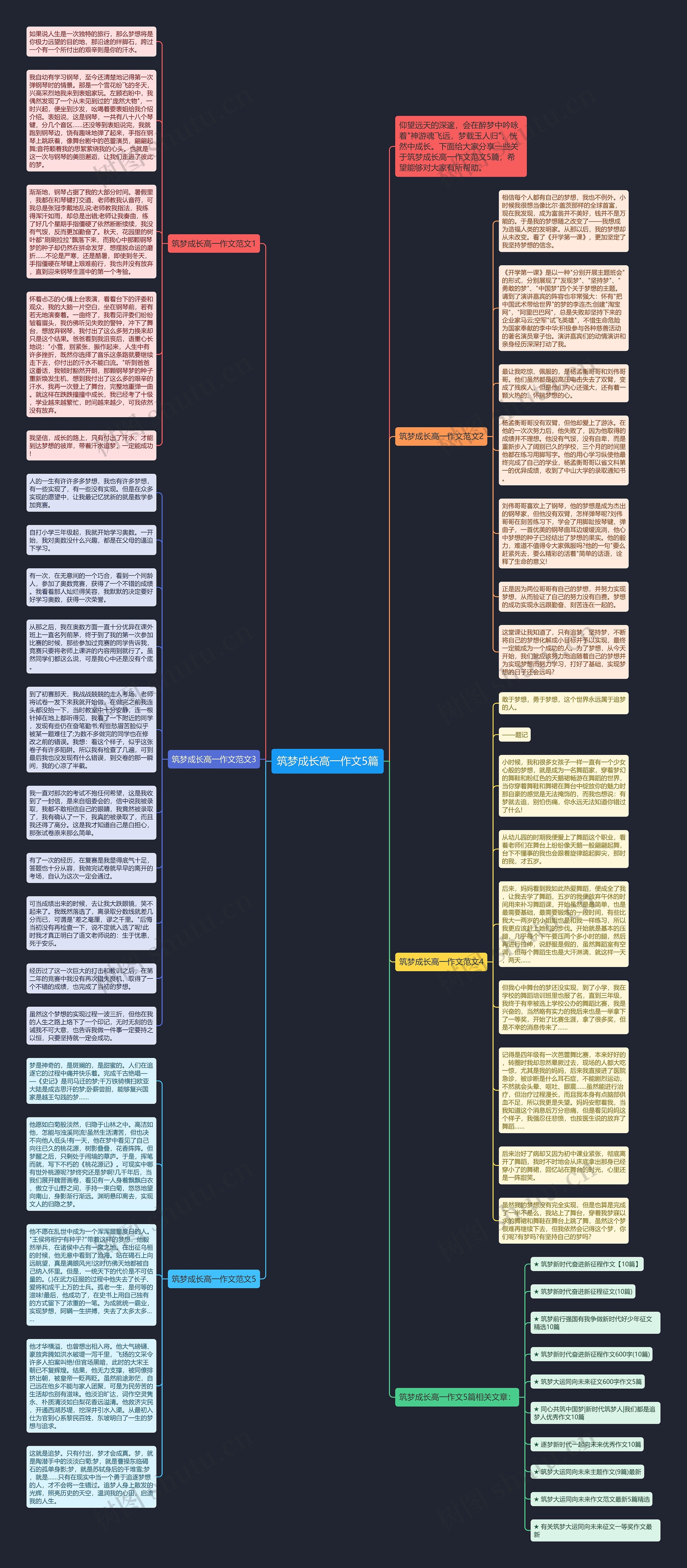 筑梦成长高一作文5篇思维导图