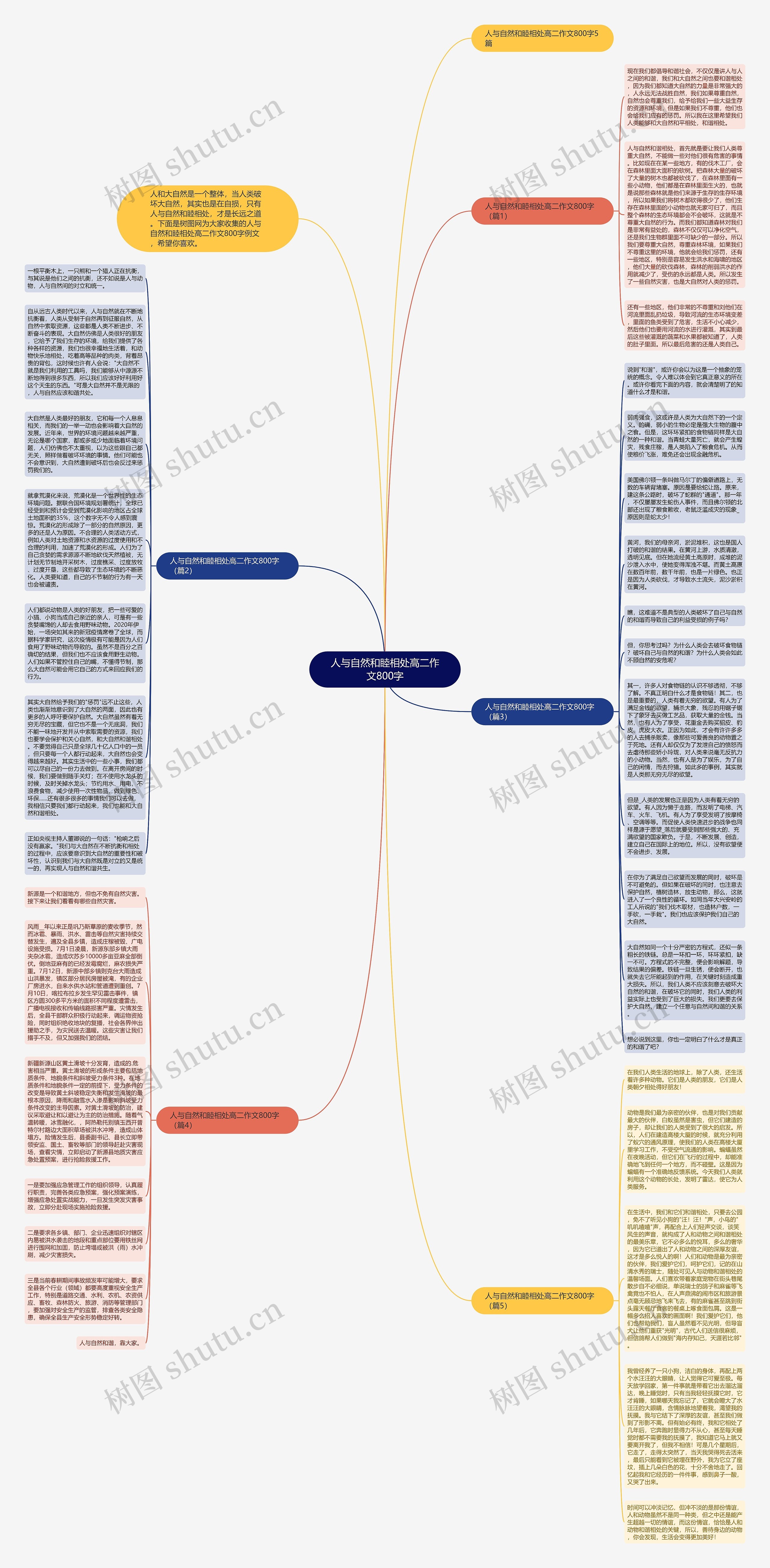 人与自然和睦相处高二作文800字思维导图