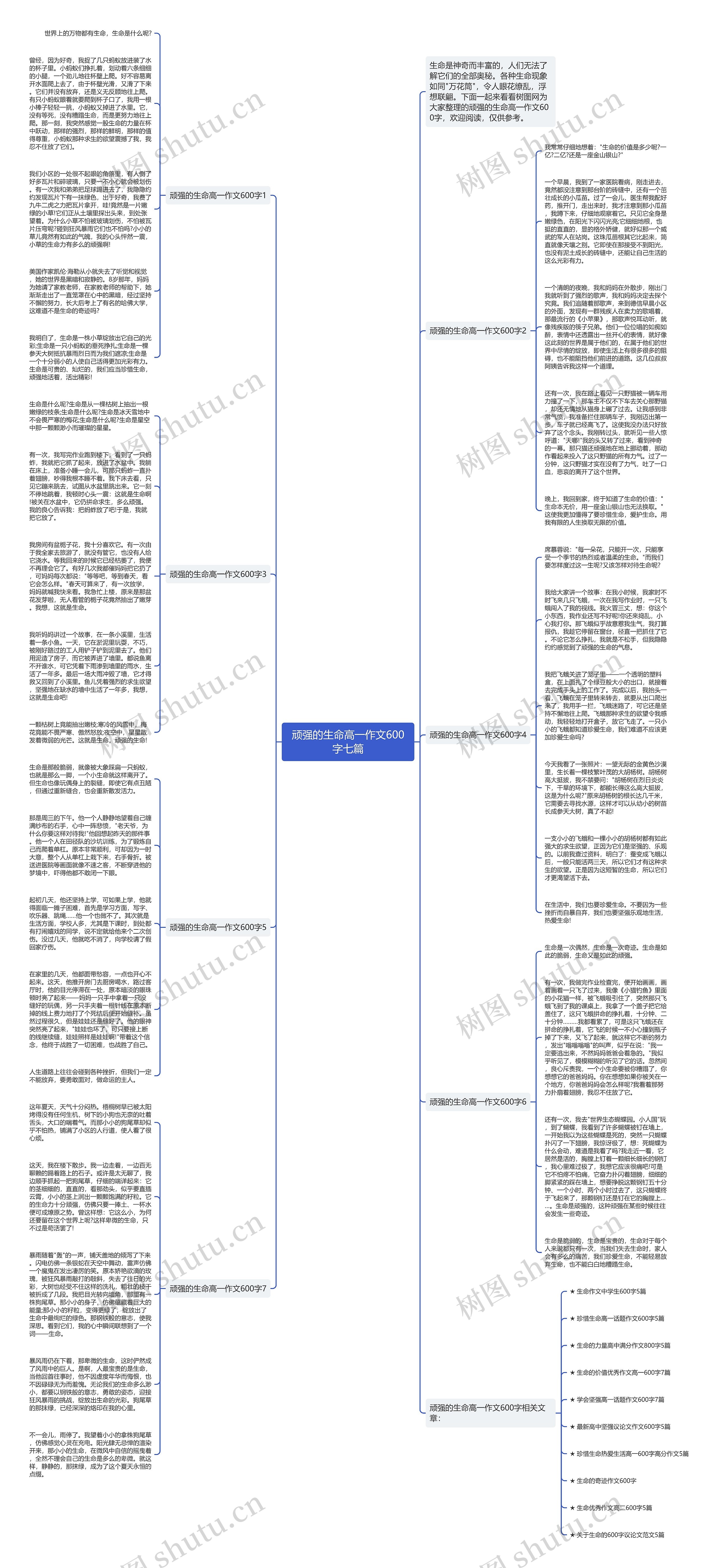 顽强的生命高一作文600字七篇思维导图