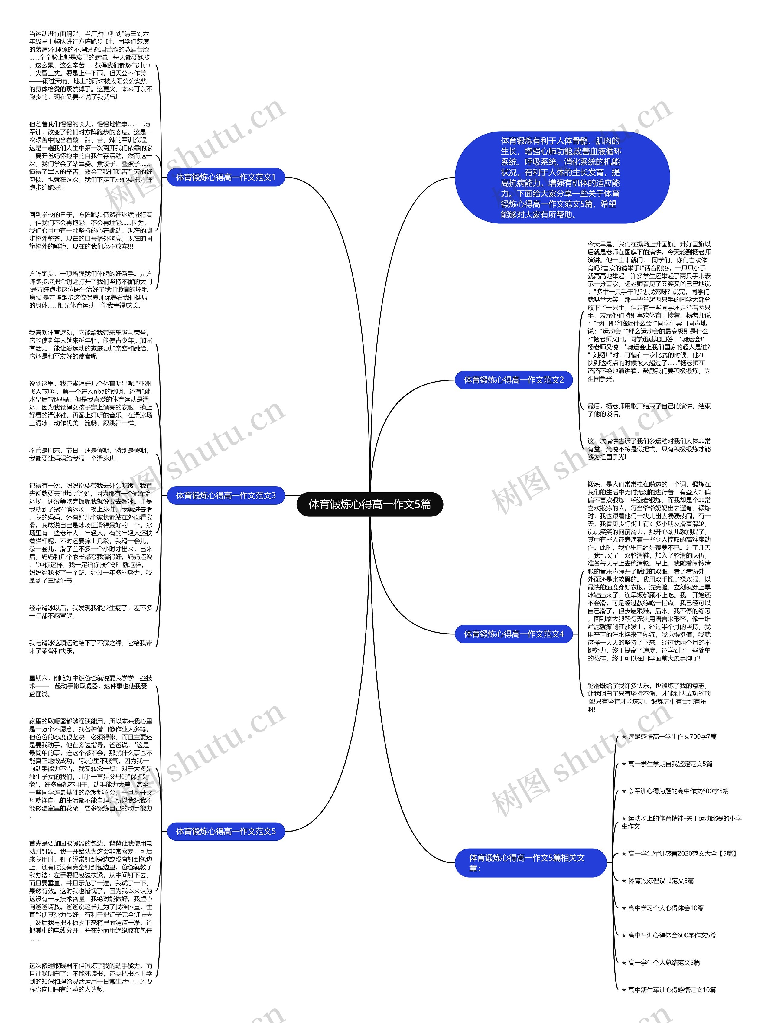 体育锻炼心得高一作文5篇思维导图