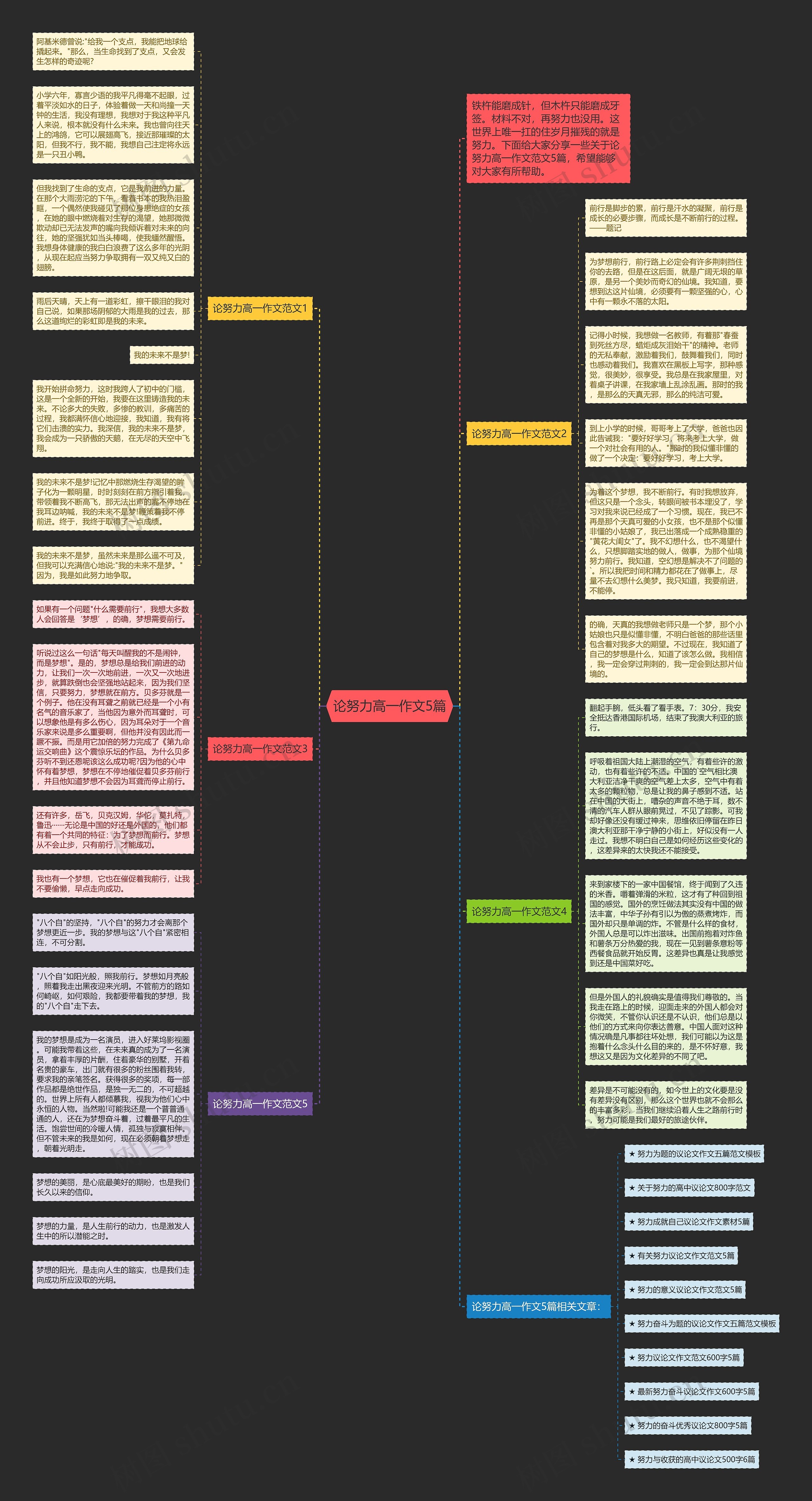 论努力高一作文5篇思维导图