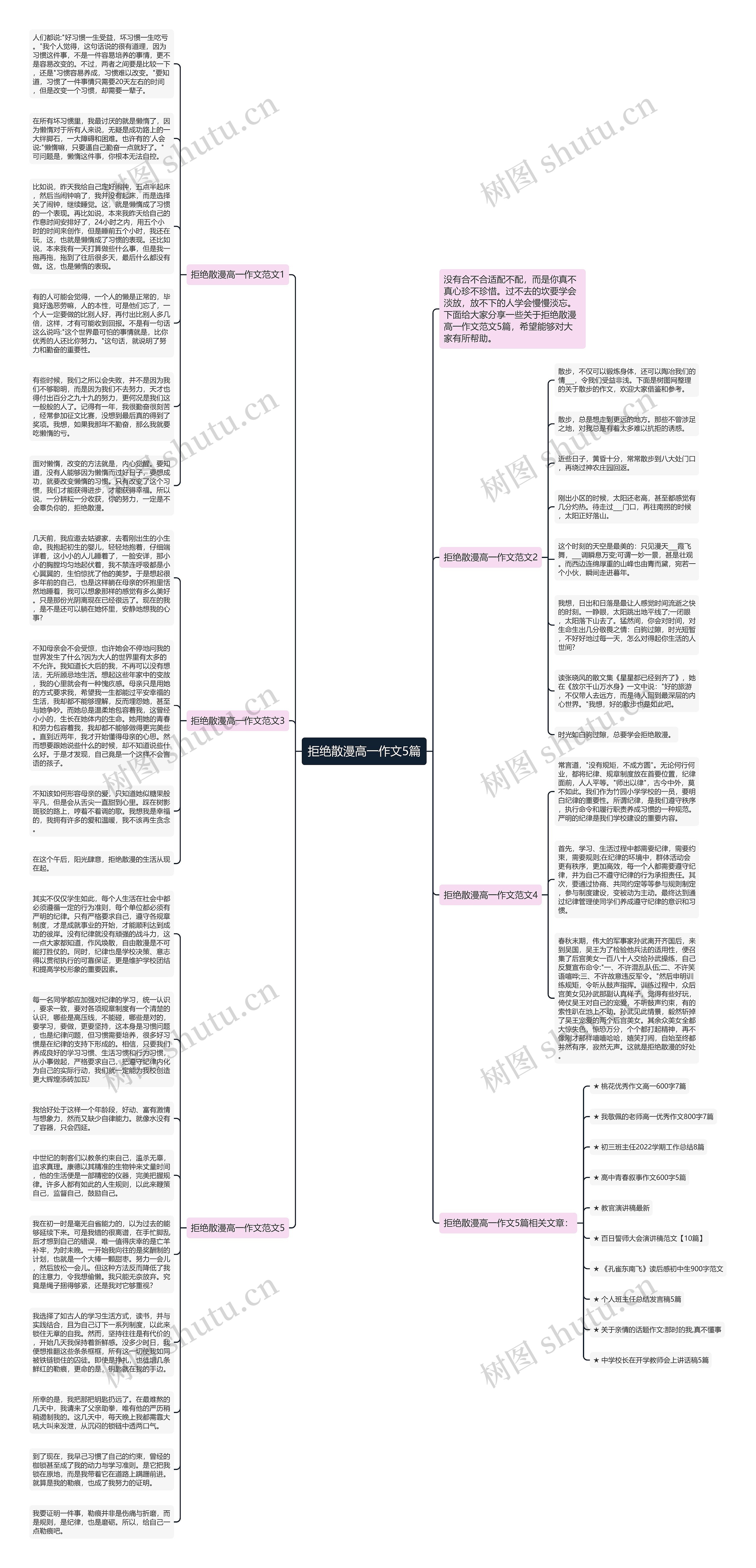 拒绝散漫高一作文5篇思维导图
