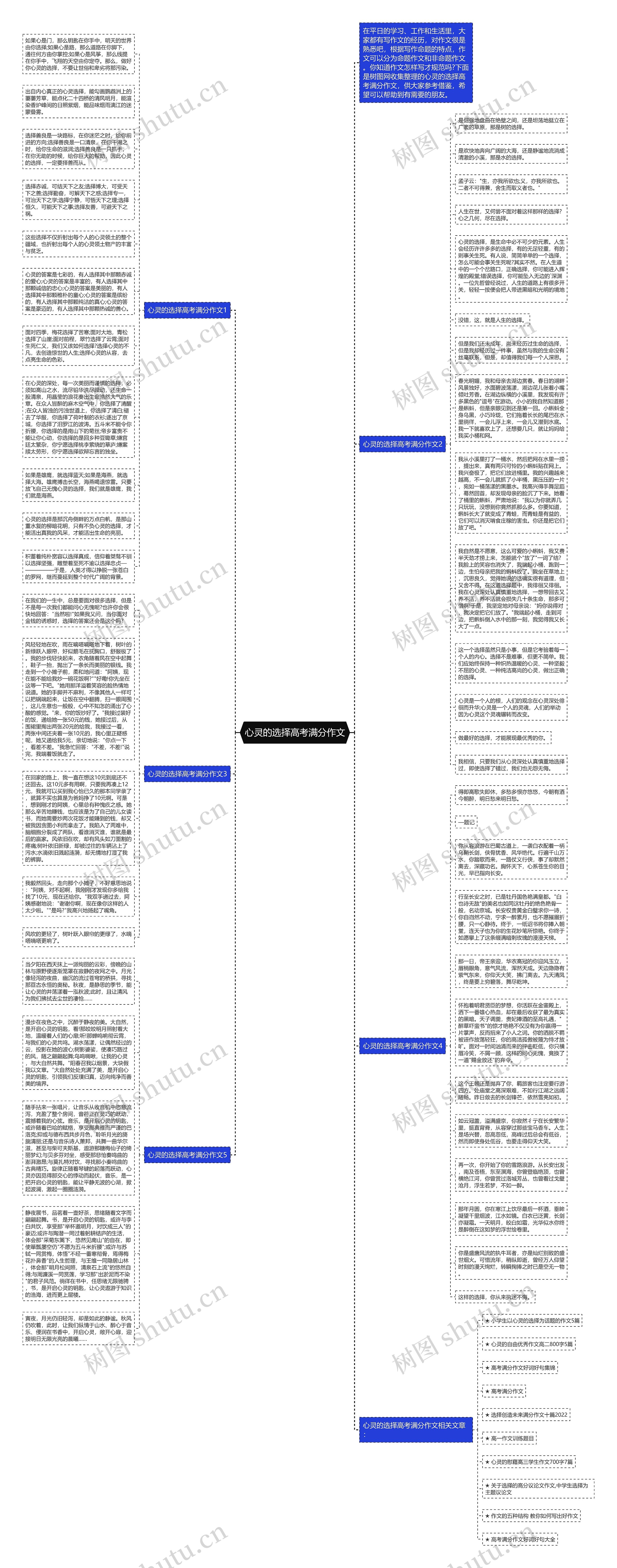 心灵的选择高考满分作文思维导图