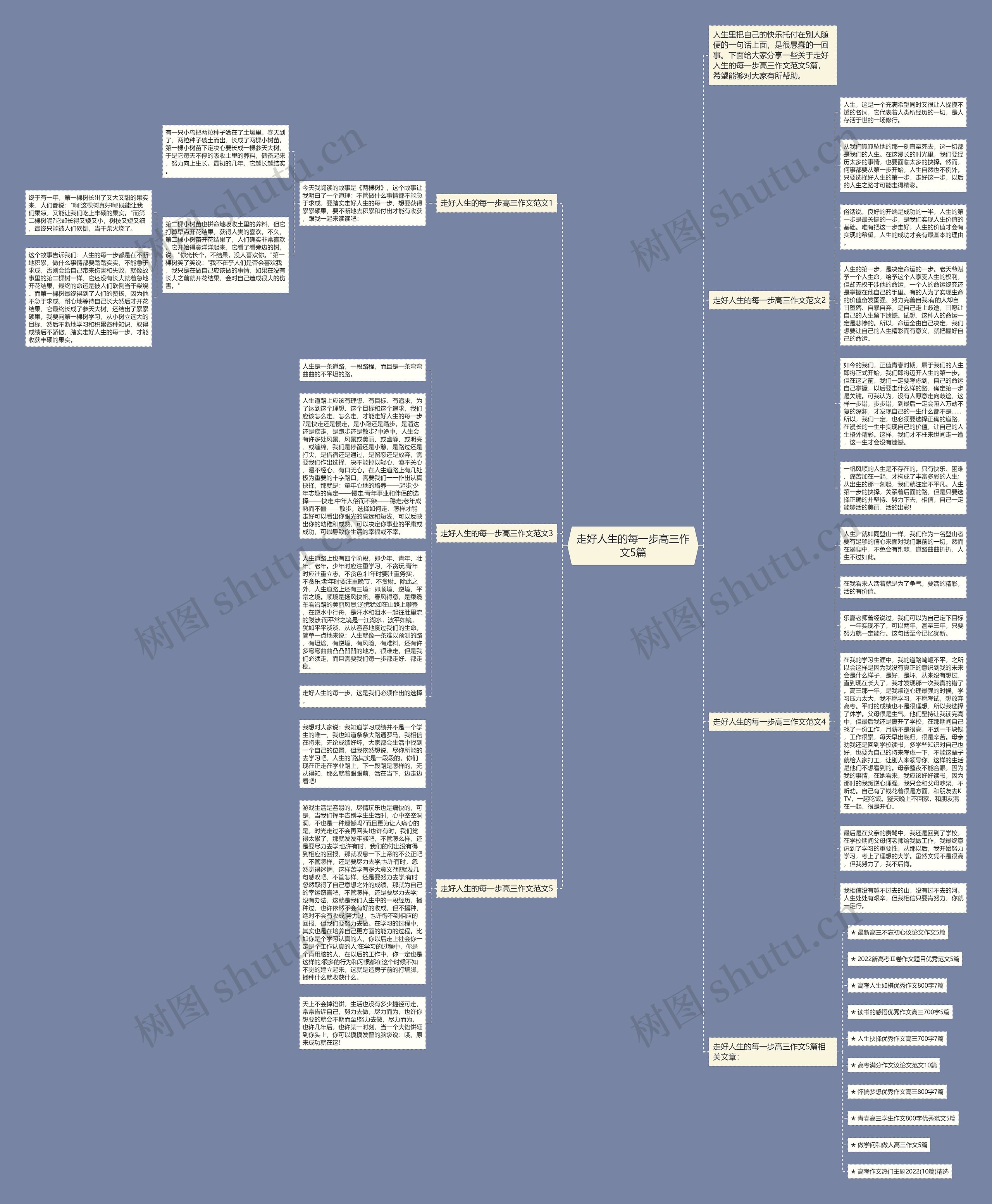 走好人生的每一步高三作文5篇思维导图
