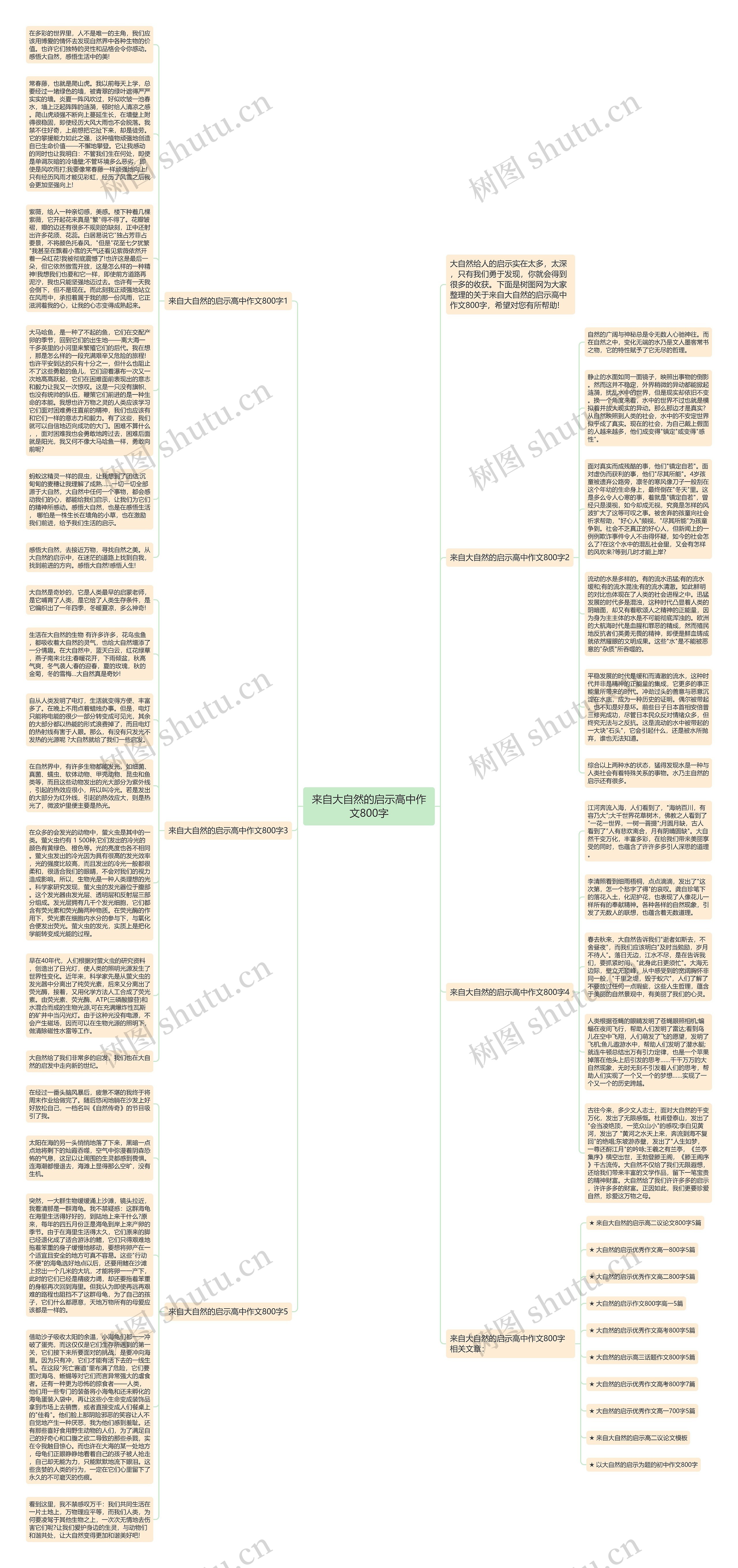 来自大自然的启示高中作文800字思维导图