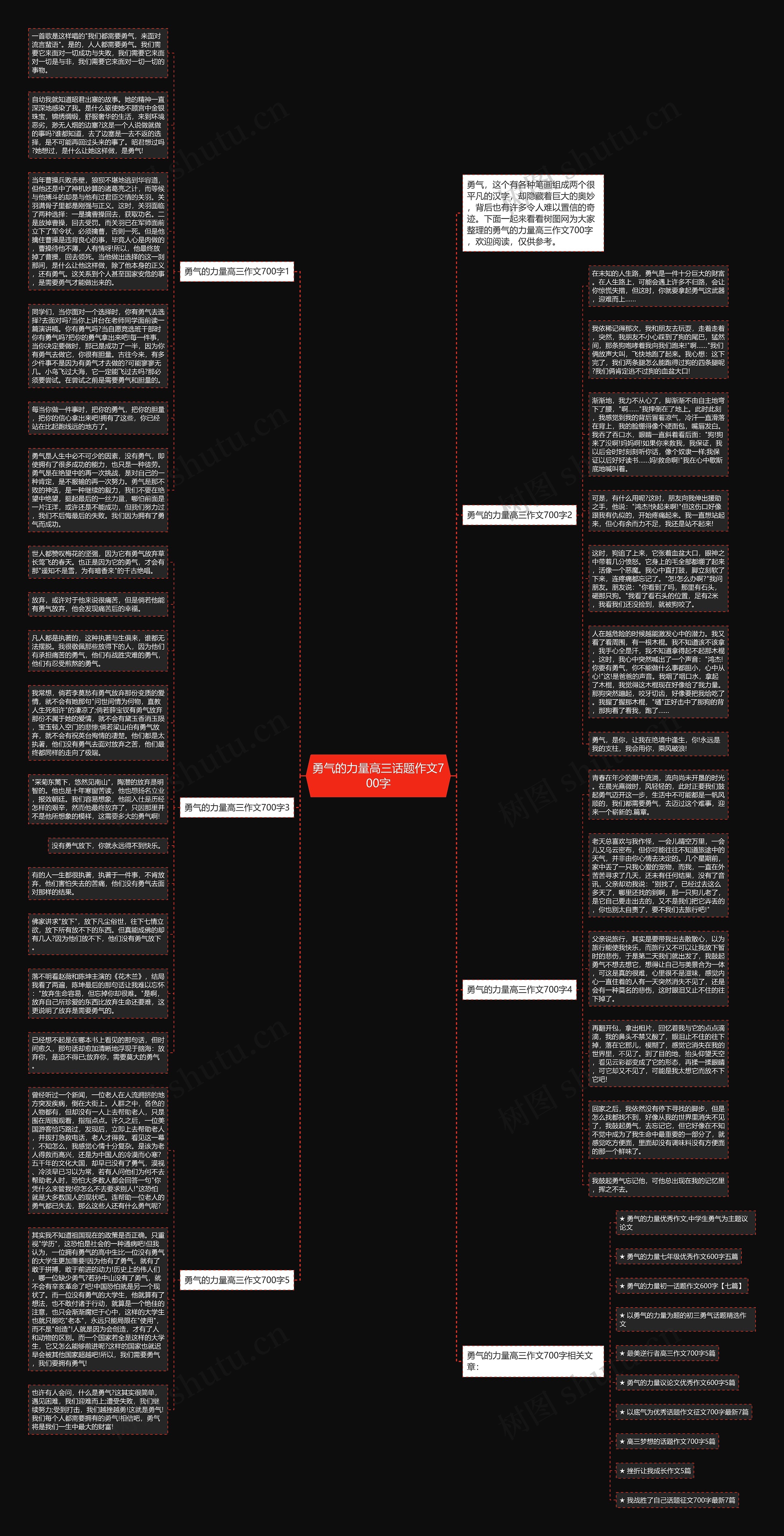 勇气的力量高三话题作文700字思维导图