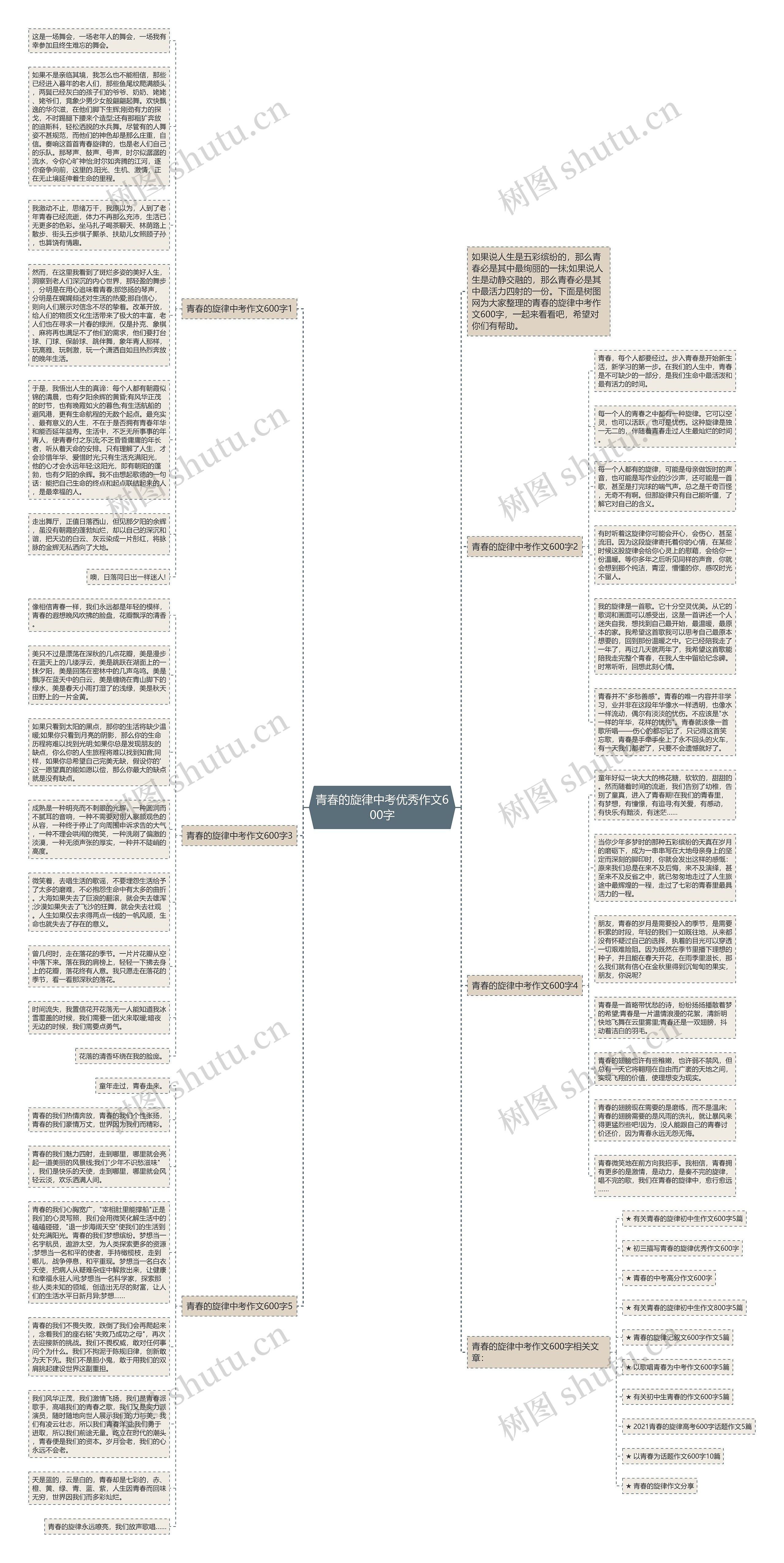 青春的旋律中考优秀作文600字思维导图